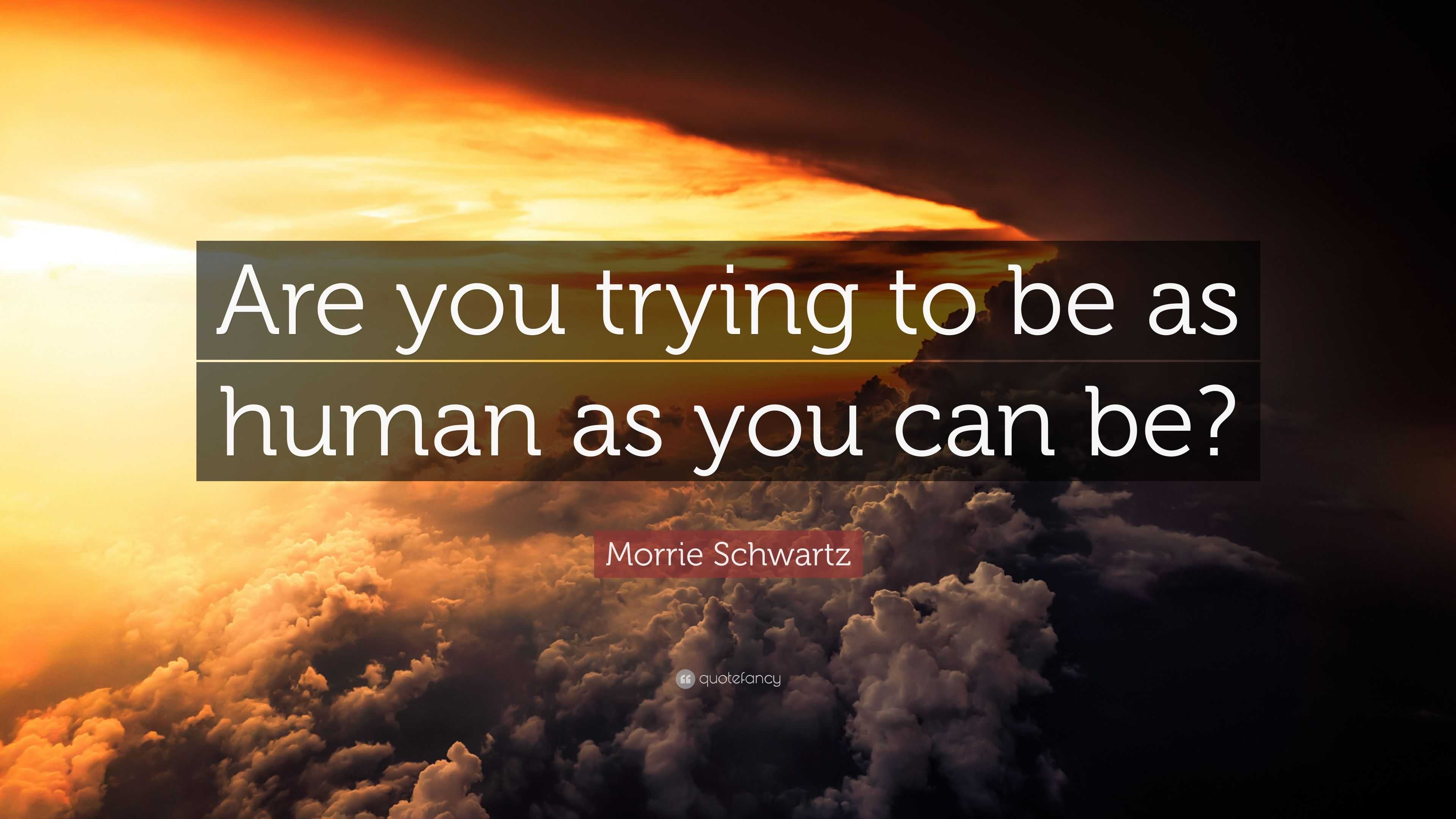 Morrie Schwartz Quote: “Are you trying to be as human as you can be?”