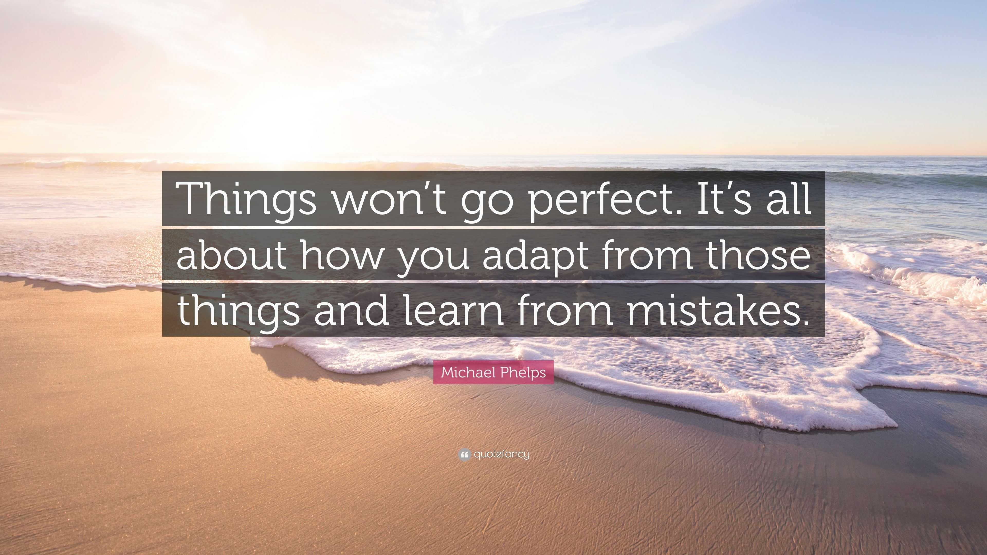 Michael Phelps Quote: “Things won't go perfect. It's all about how you adapt  from those