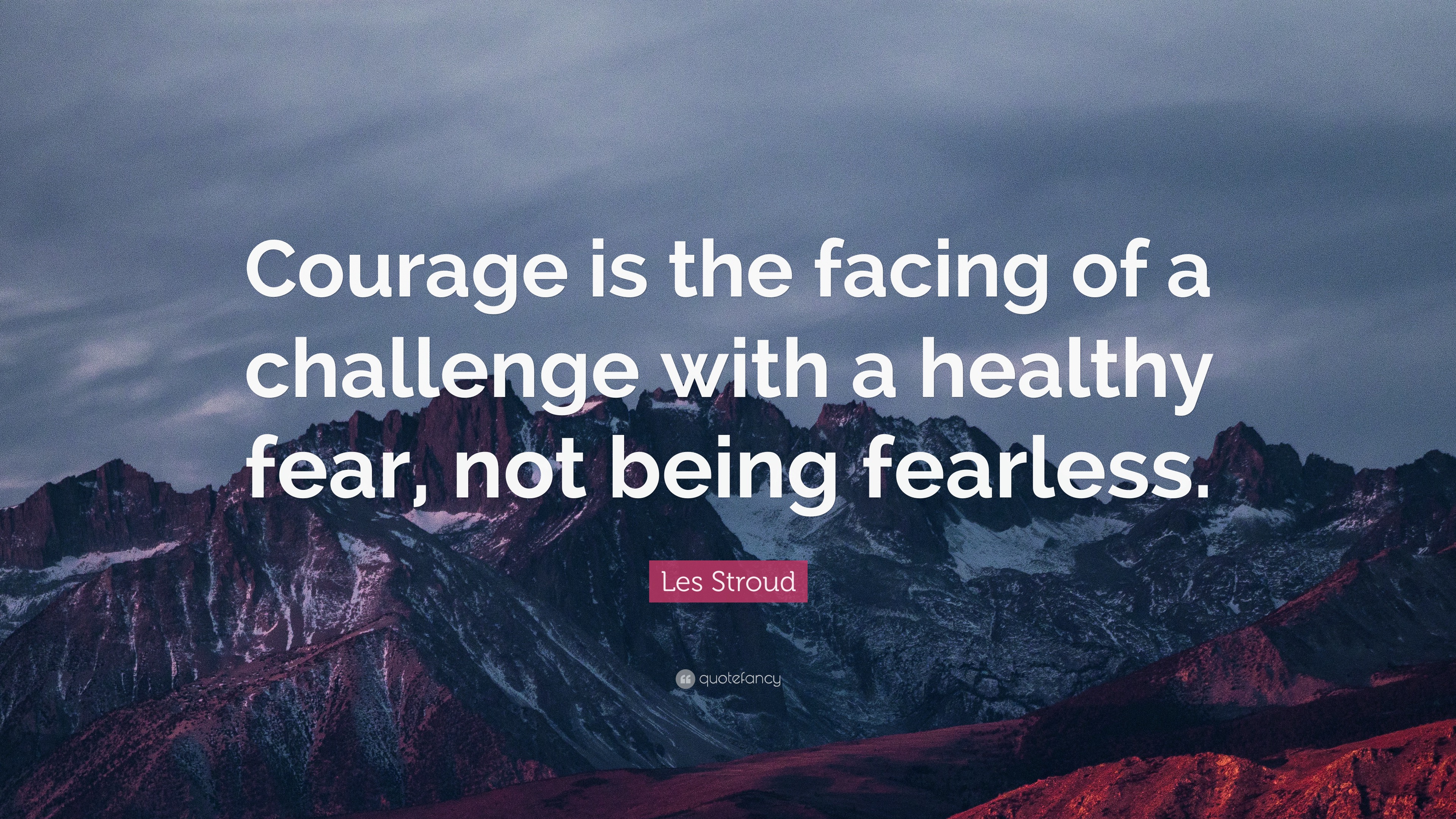 Les Stroud Quote: “Courage is the facing of a challenge with a healthy ...