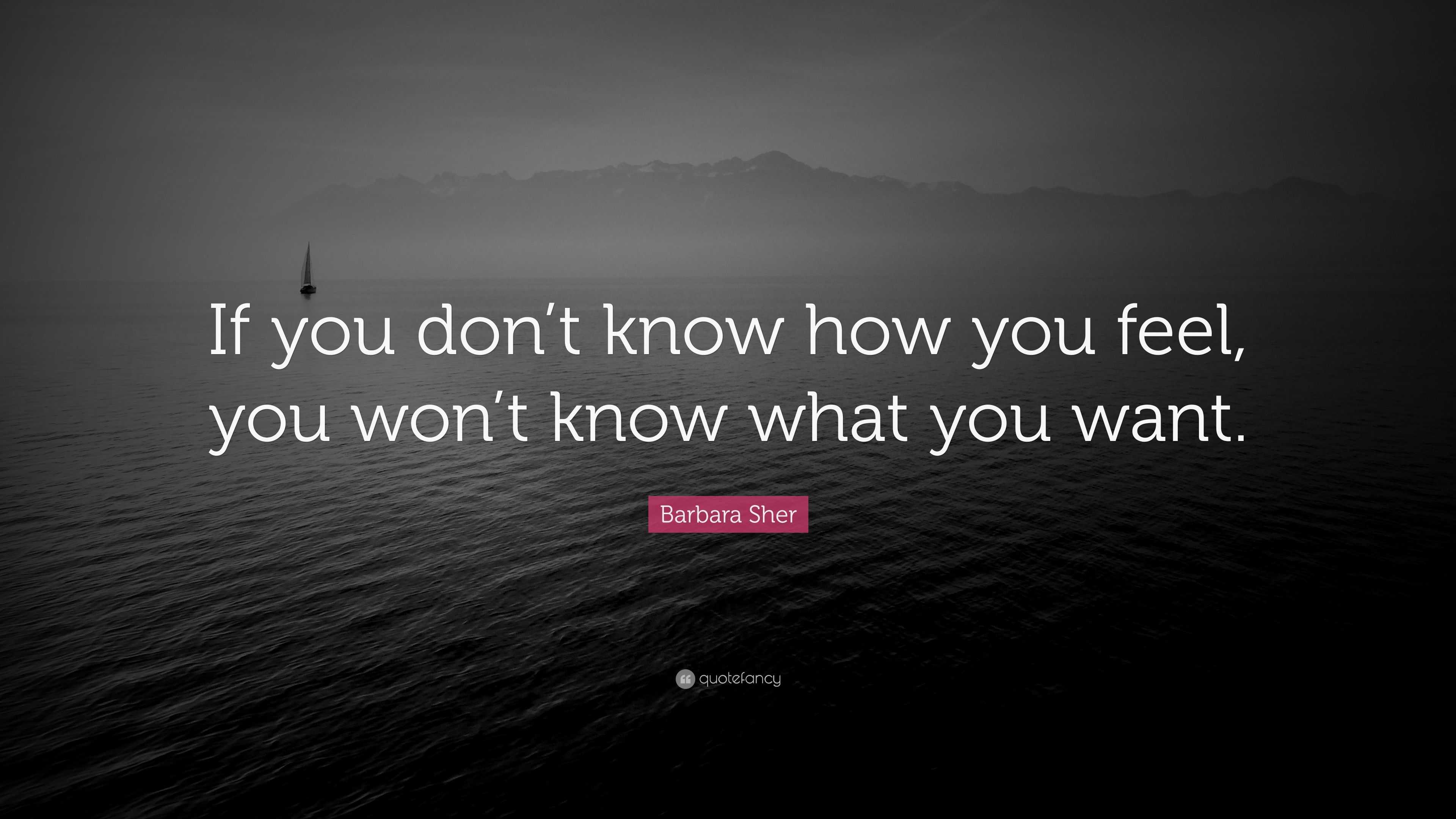 Barbara Sher Quote: “If you don’t know how you feel, you won’t know ...