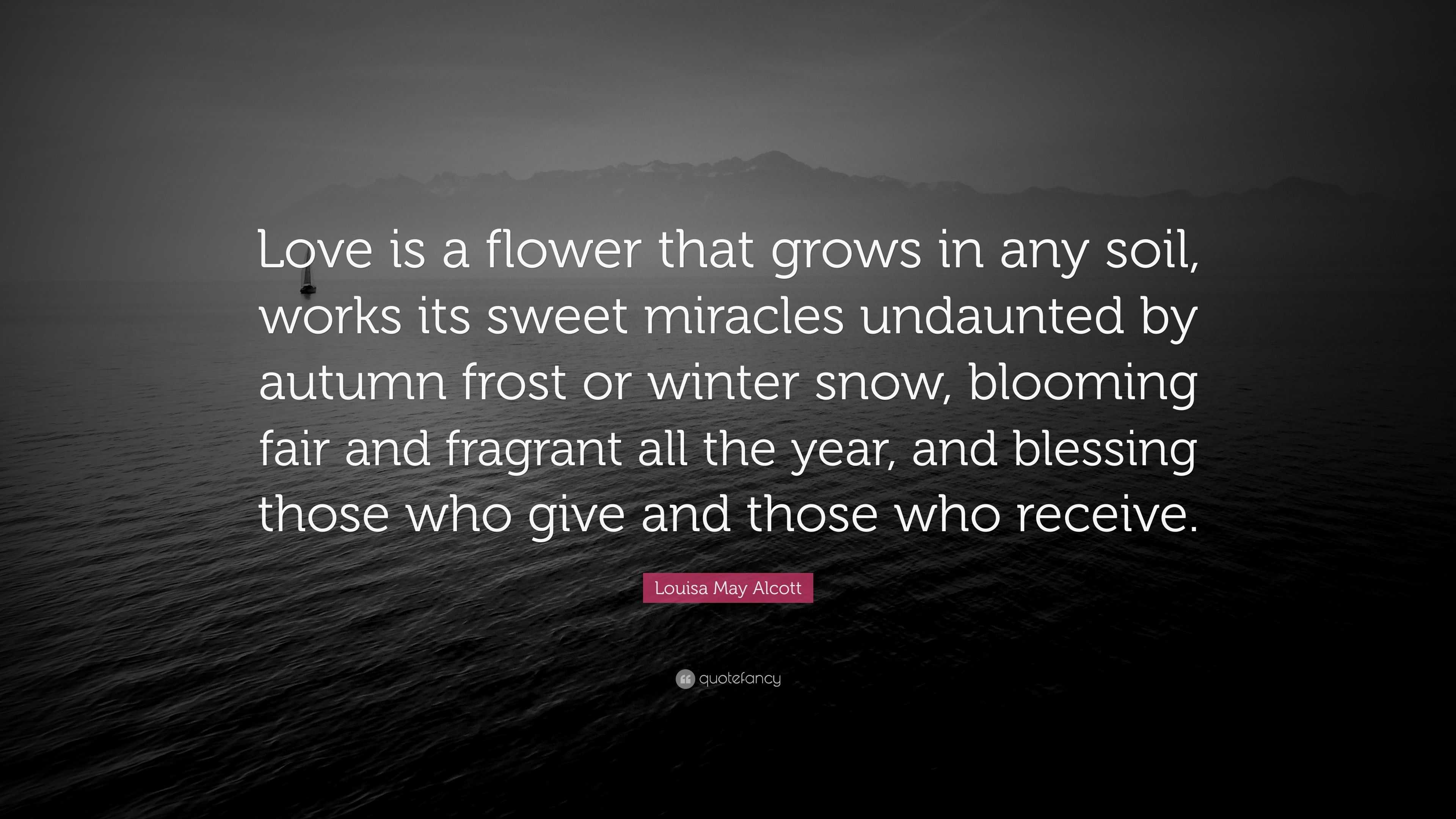 Louisa May Alcott Quote: “Love is a flower that grows in any soil
