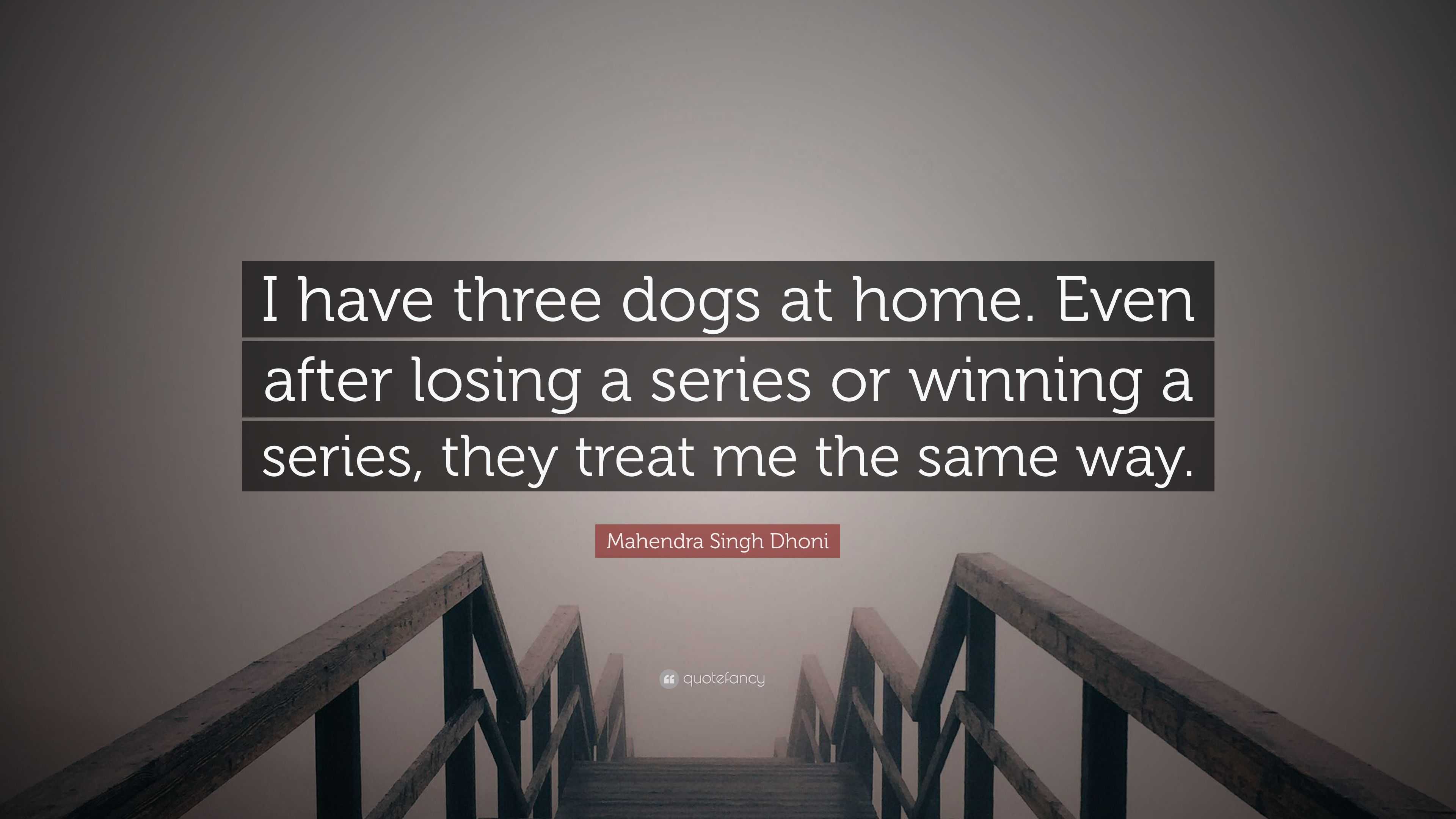 Mahendra Singh Dhoni Quote I Have Three Dogs At Home Even After Losing A Series Or