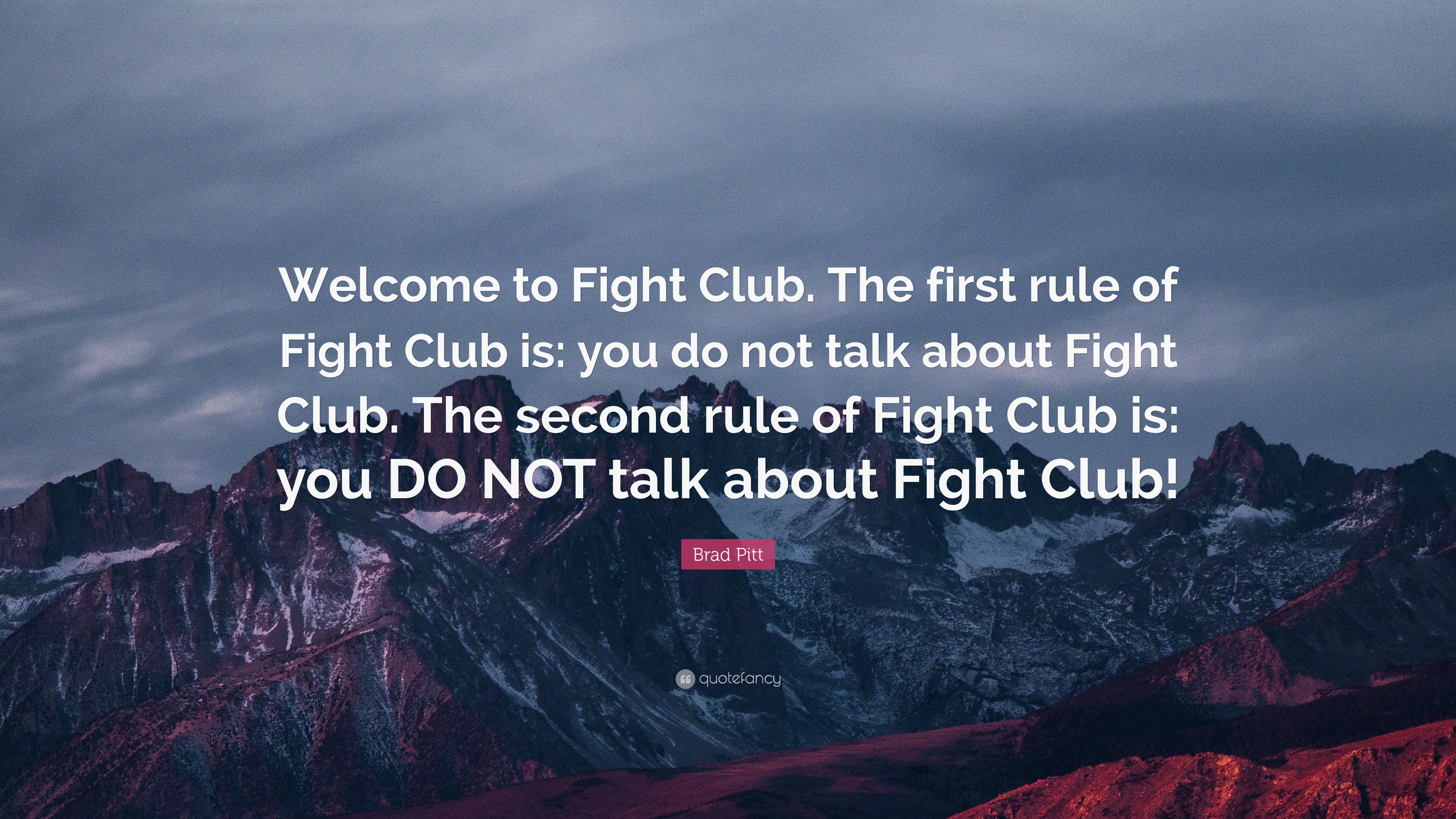 brad pitt fight club quotes