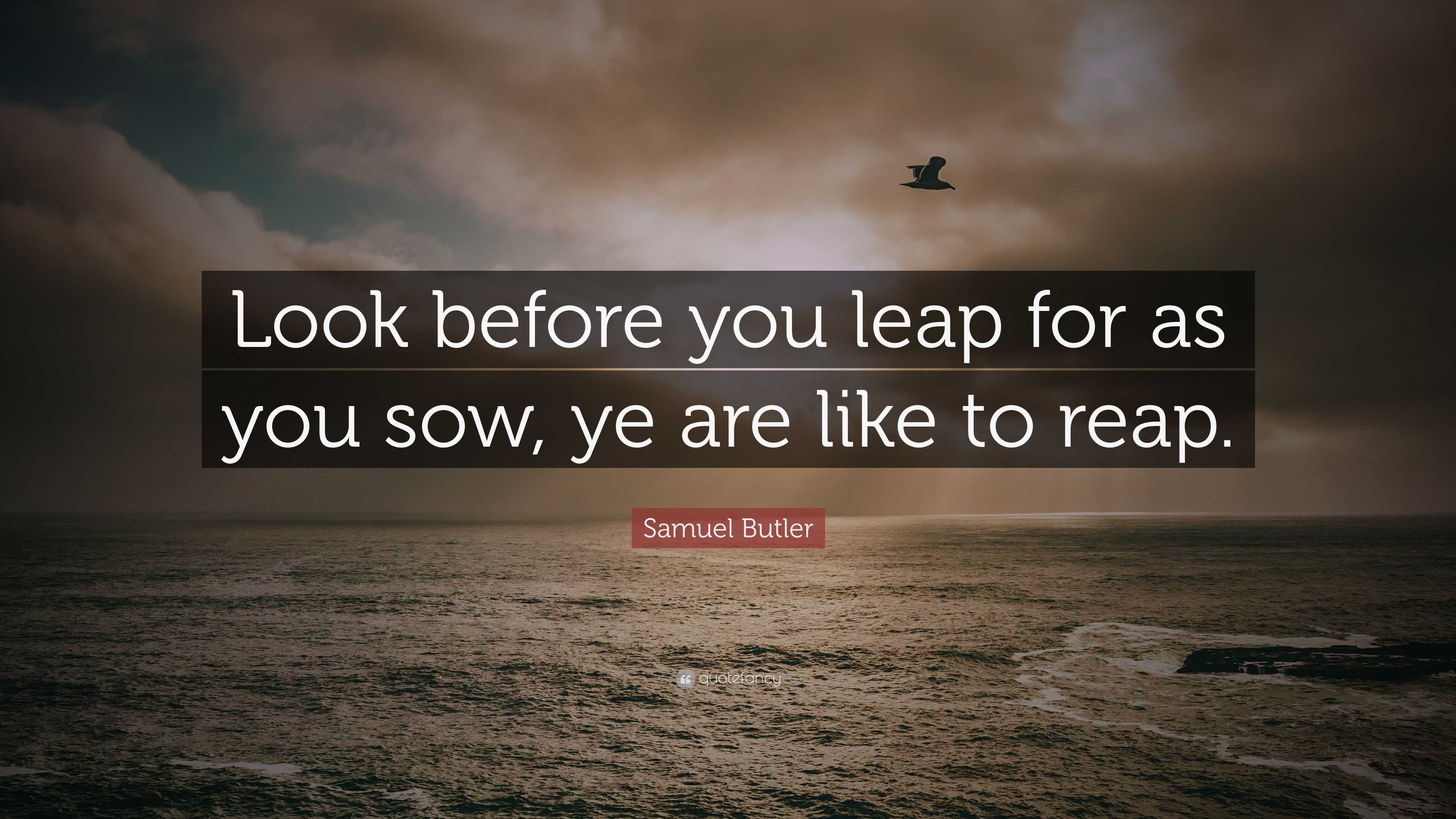 Samuel Butler Quote Look Before You Leap For As You Sow Ye Are Like To Reap