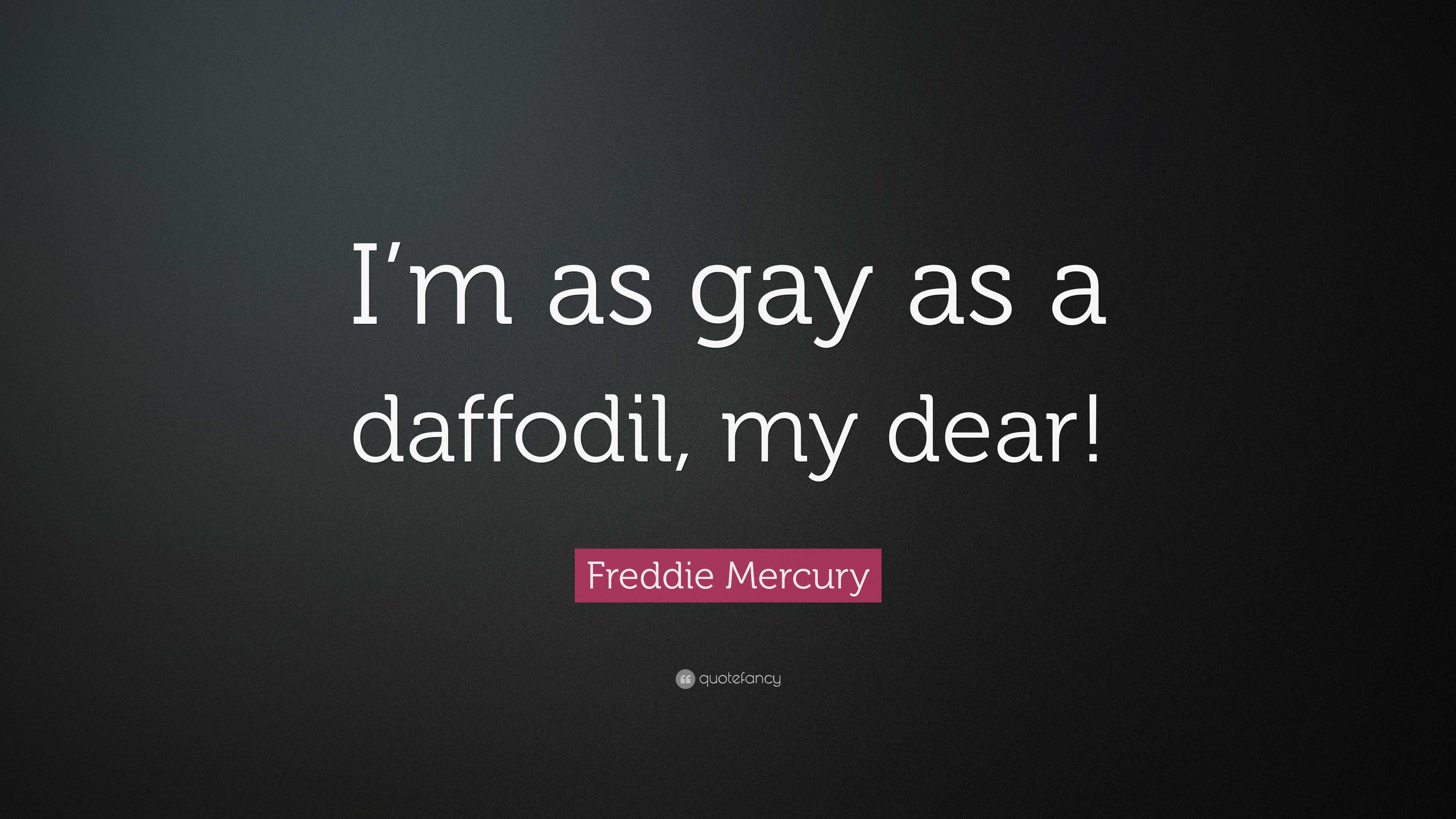 Freddie Mercury Quote: “I’m as gay as a daffodil, my dear!”