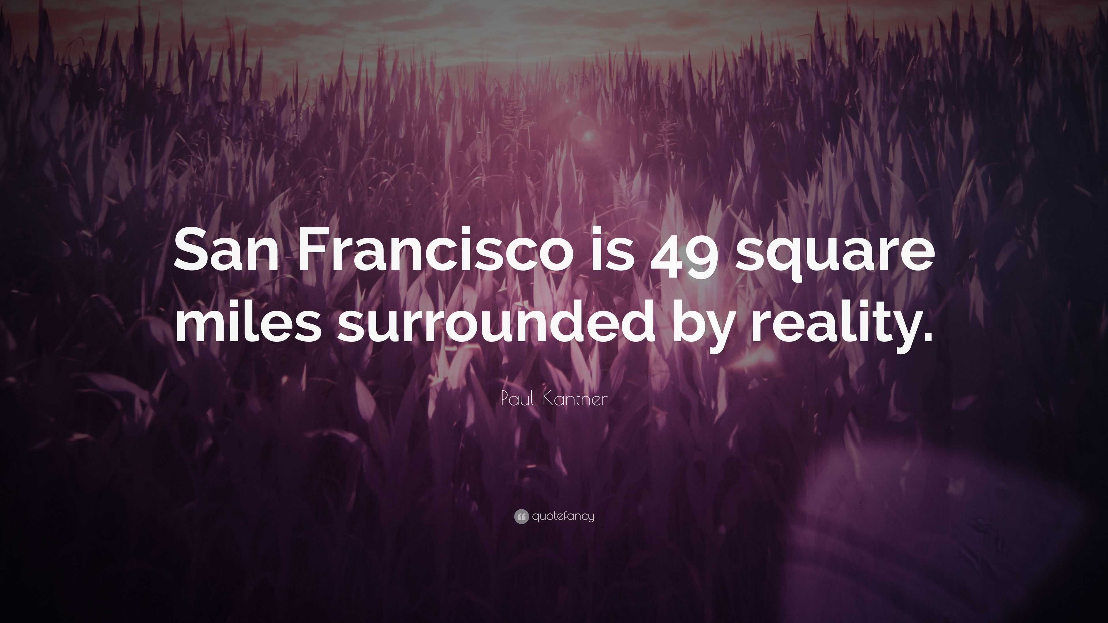49 Square 49 Square Miles Logo Replying To @Krizzy 💛 Hope This Helps Its