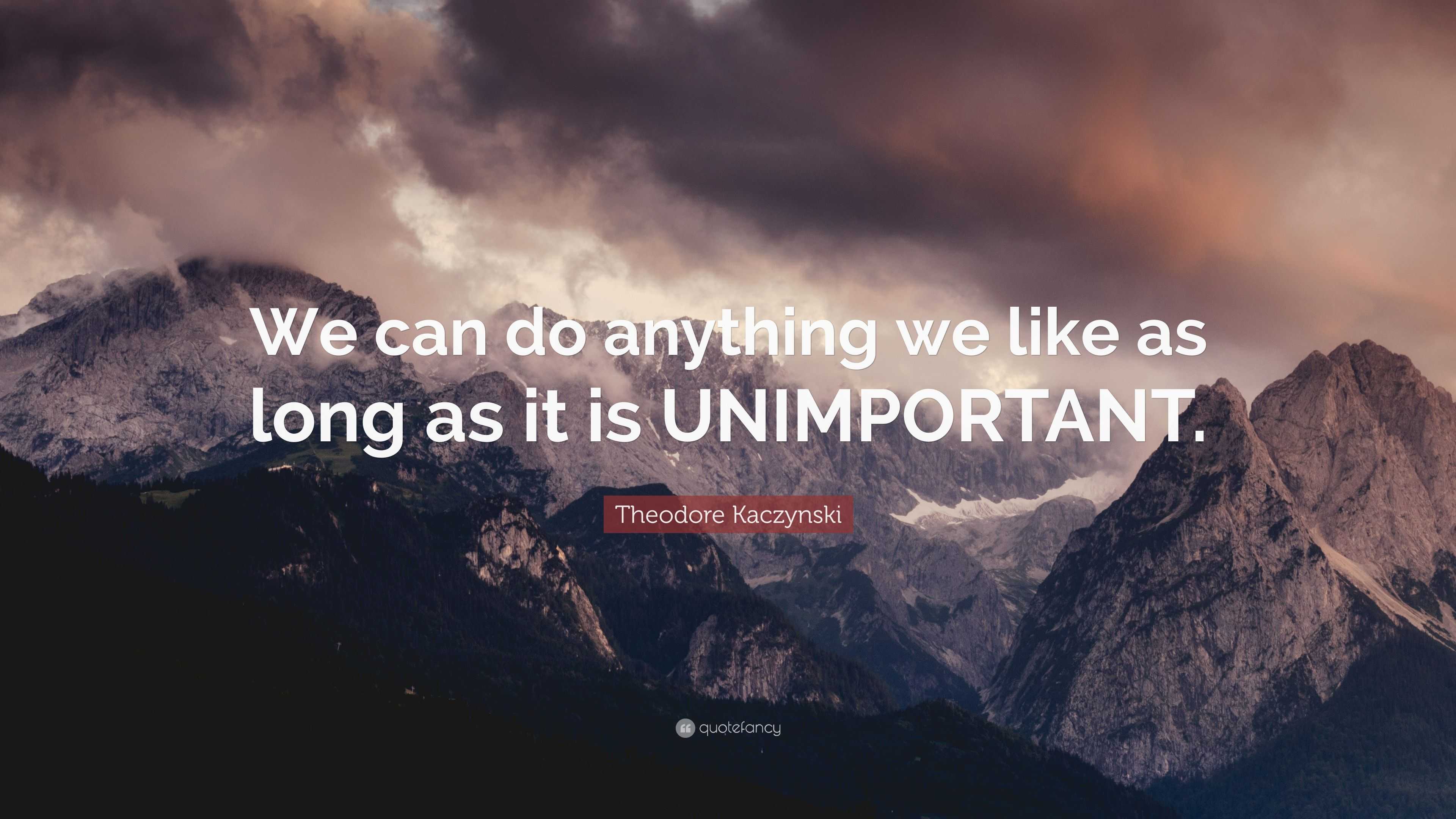 Theodore Kaczynski Quote: “We can do anything we like as long as it is ...