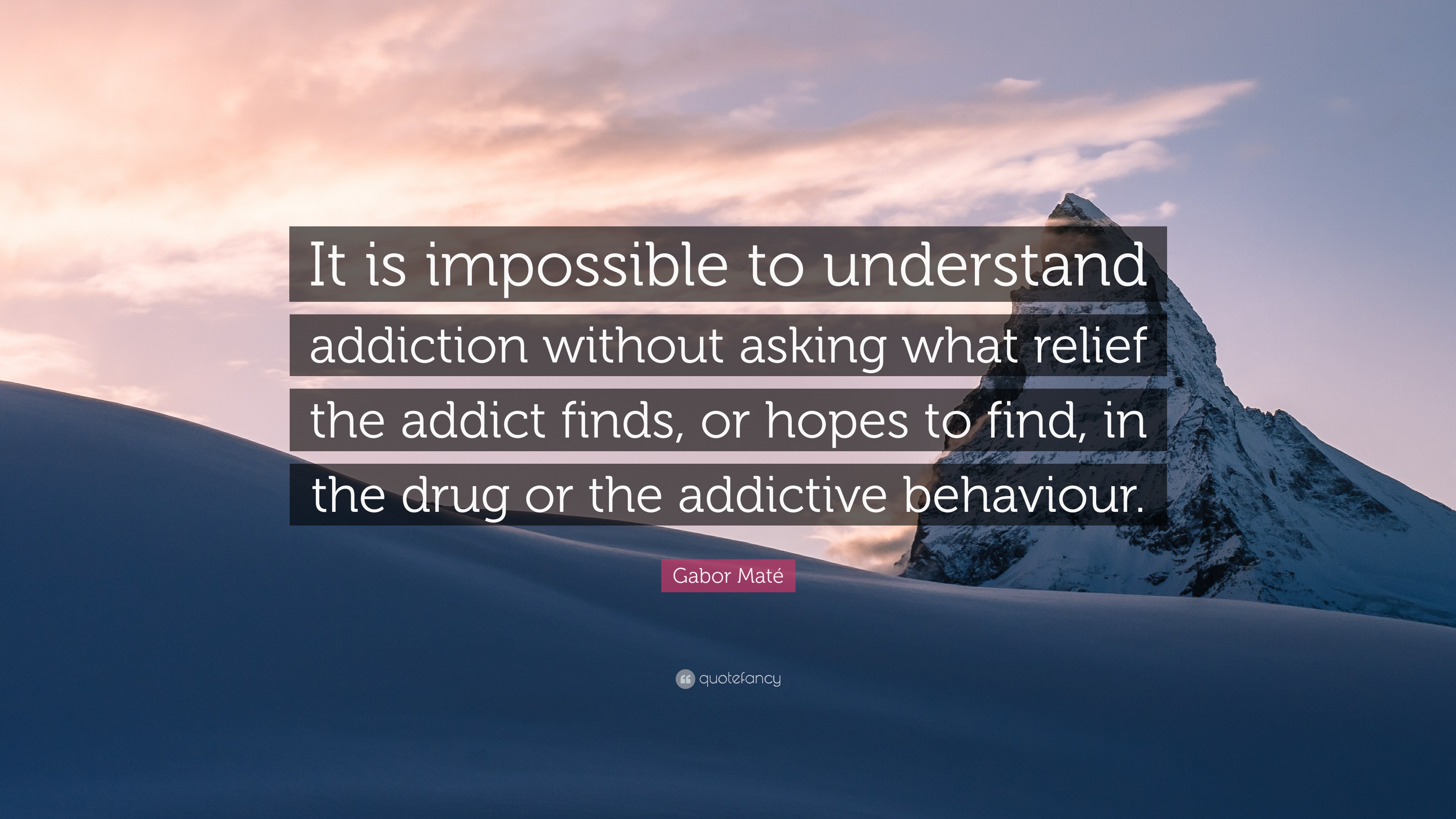 Gabor Maté Quote: “It is impossible to understand addiction without