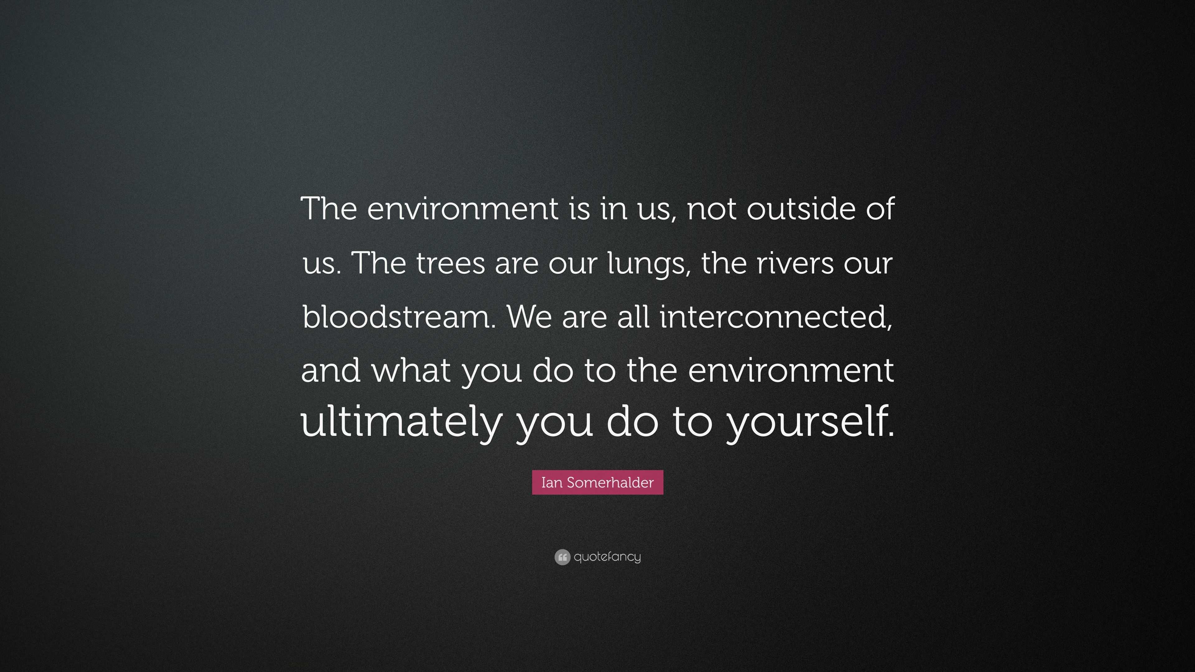 Ian Somerhalder Quote “The environment is in us, not outside of us