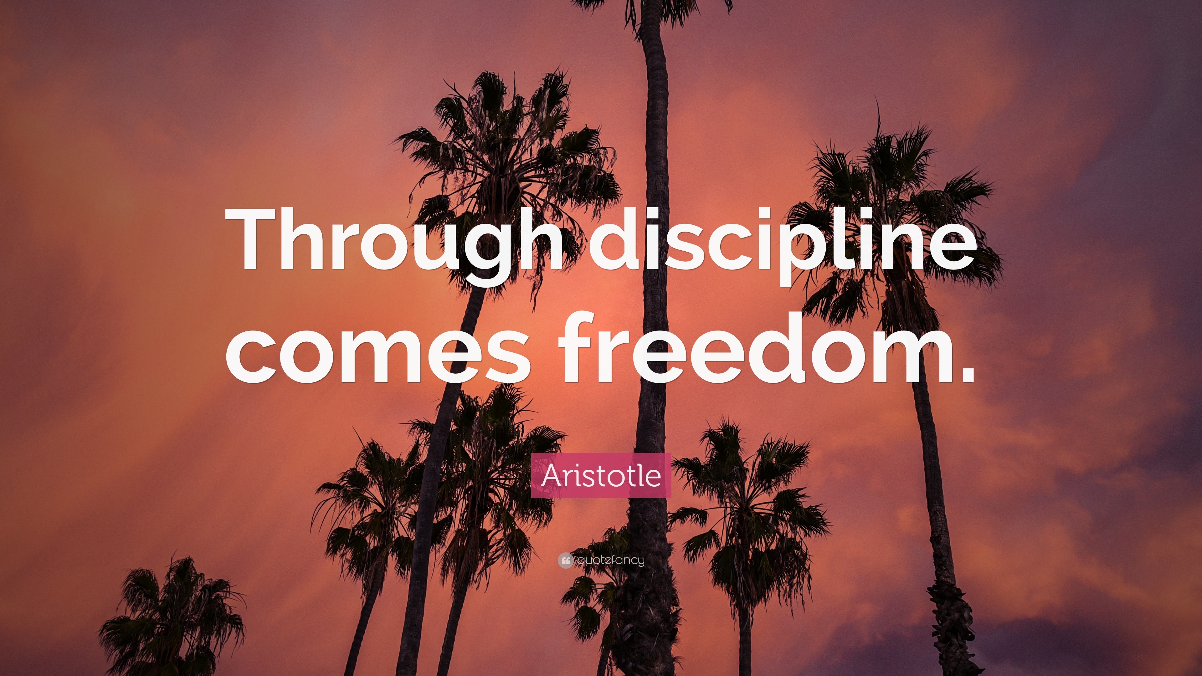 discipline equals freedom epub