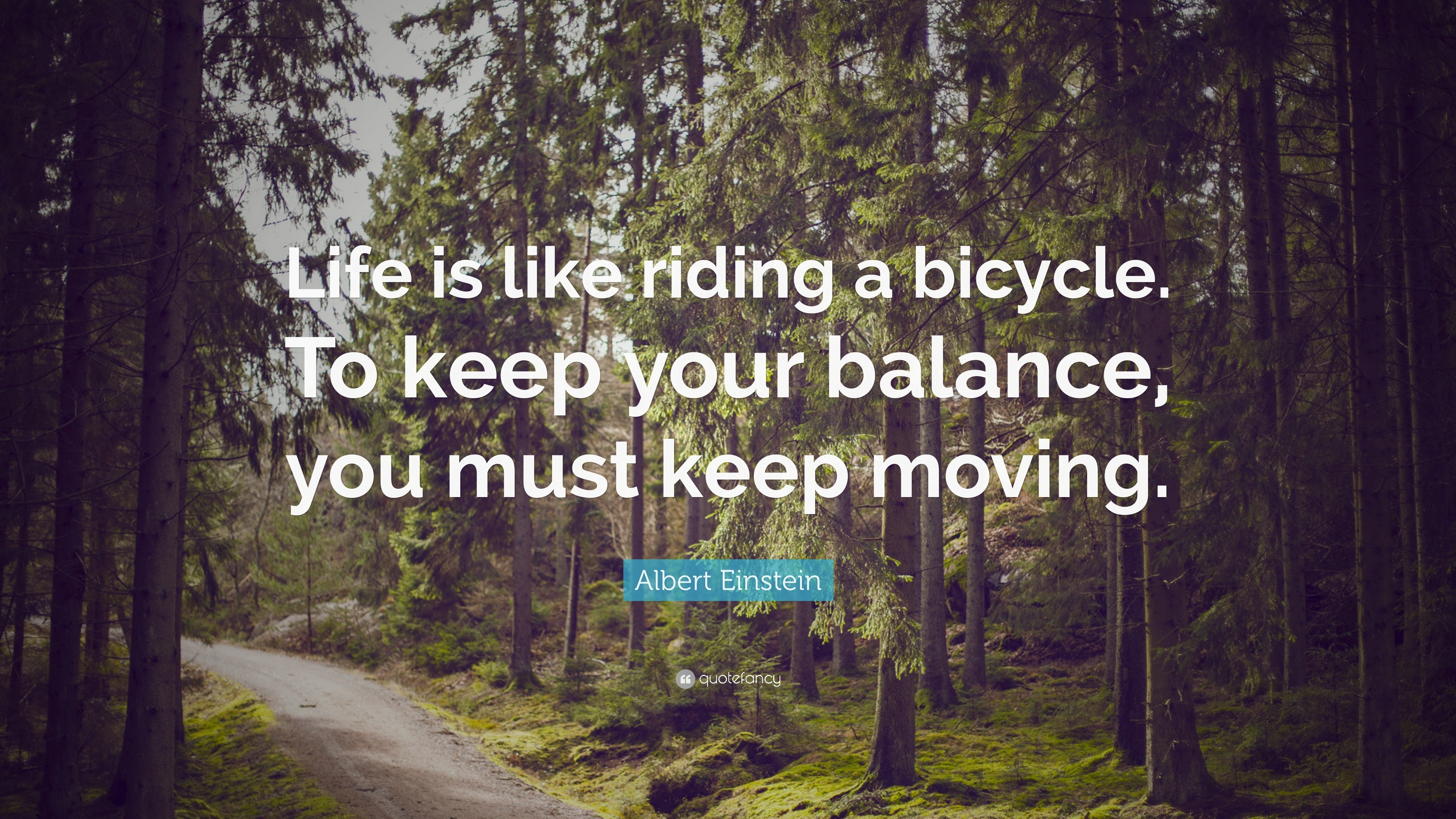 Albert Einstein Quote: "Life is like riding a bicycle. To keep your ... - 23431 Albert Einstein Quote Life Is Like RiDing A Bicycle To Keep Your