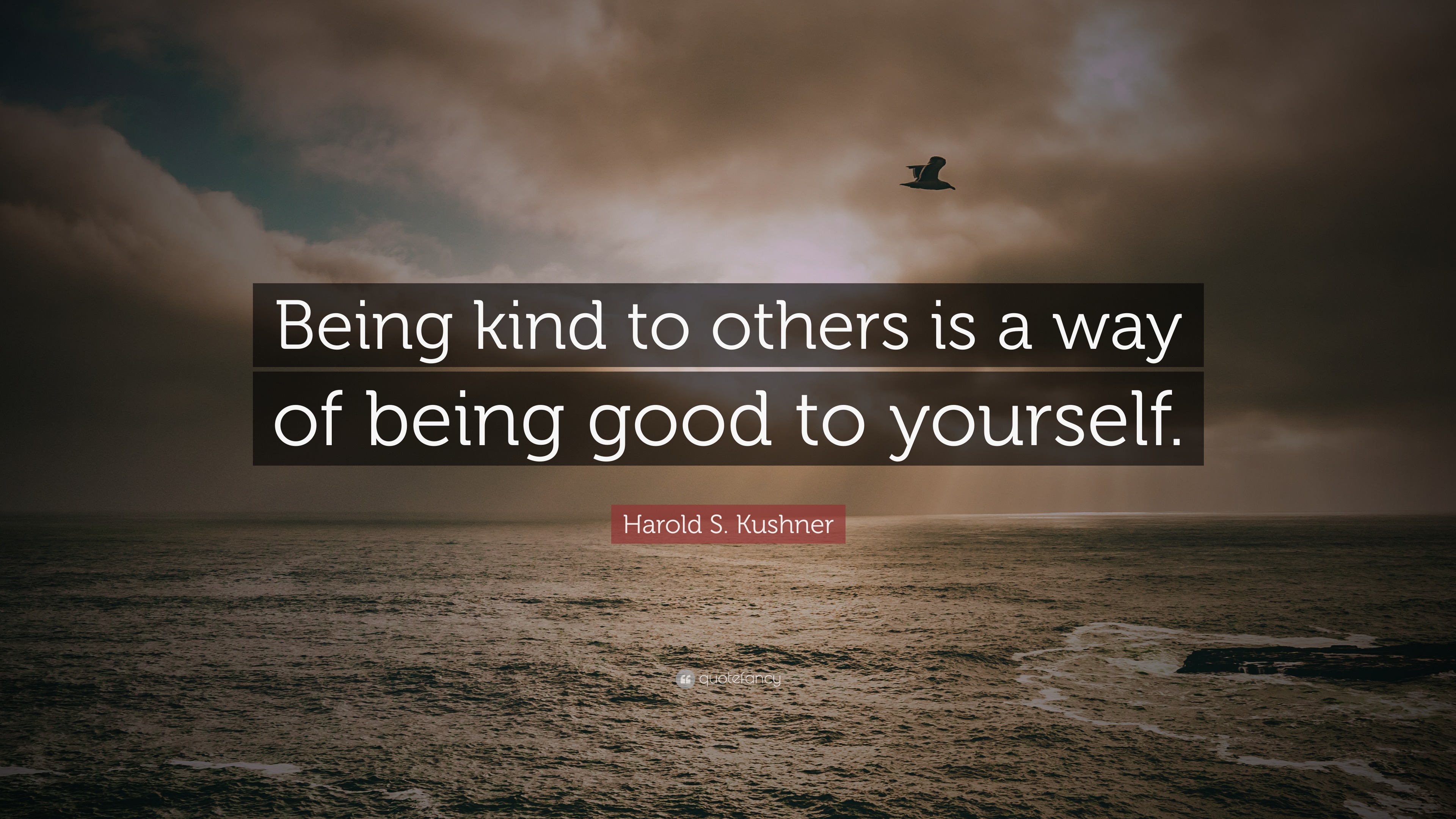 Harold S. Kushner Quote: “Being kind to others is a way of being good ...
