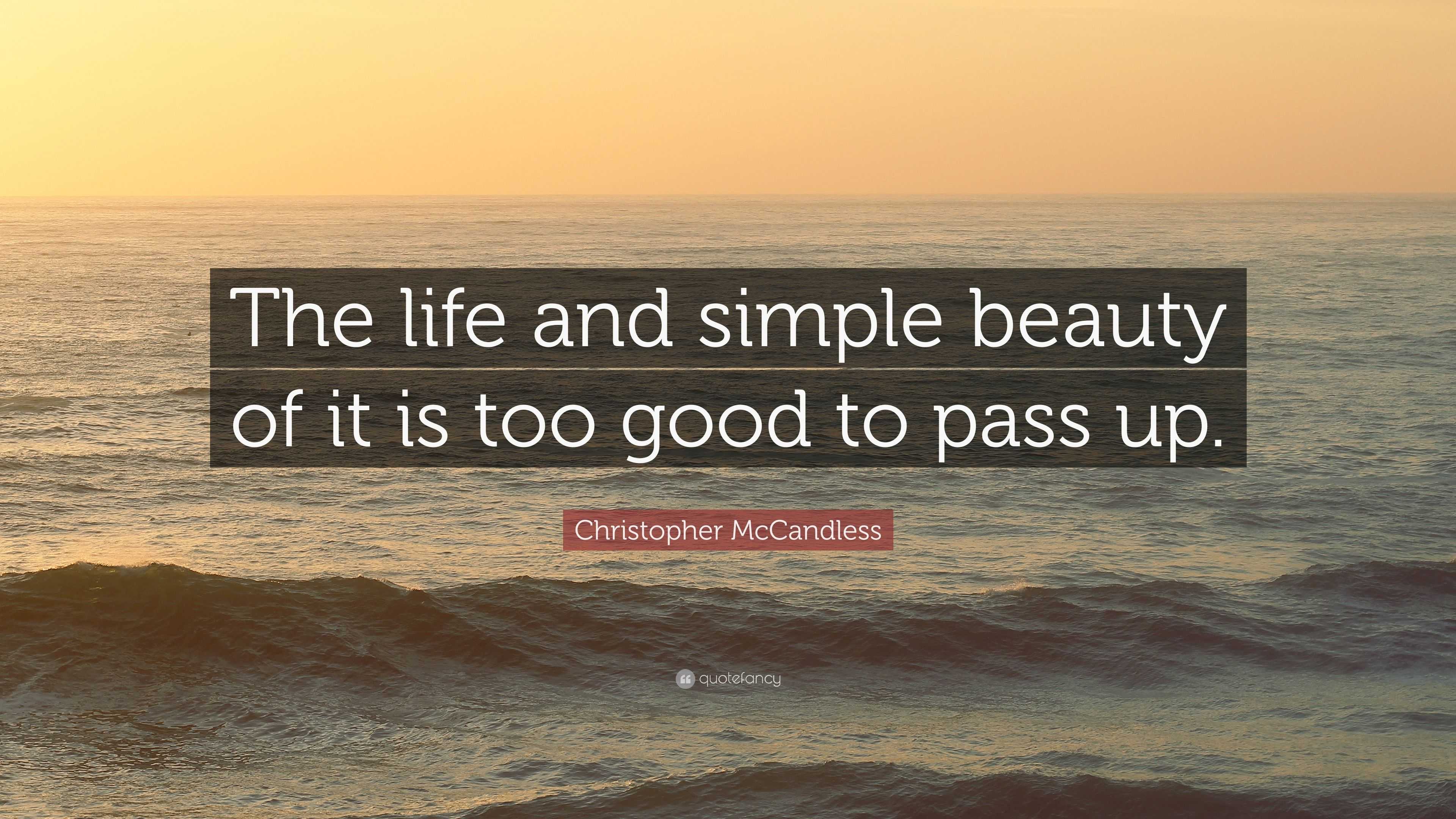 Christopher McCandless Quote The life and simple beauty of it is too 