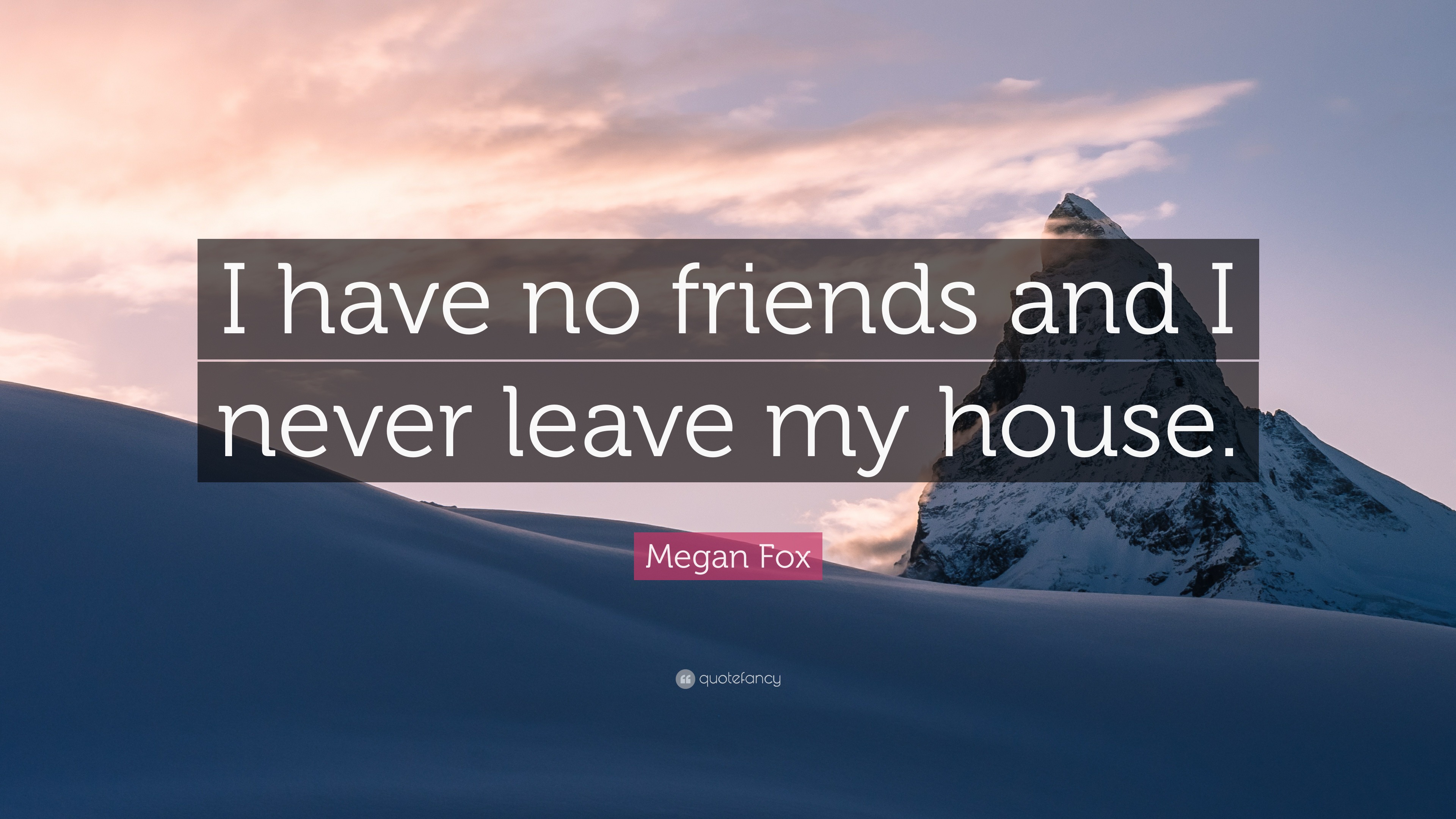 I Have No Friends Quotes