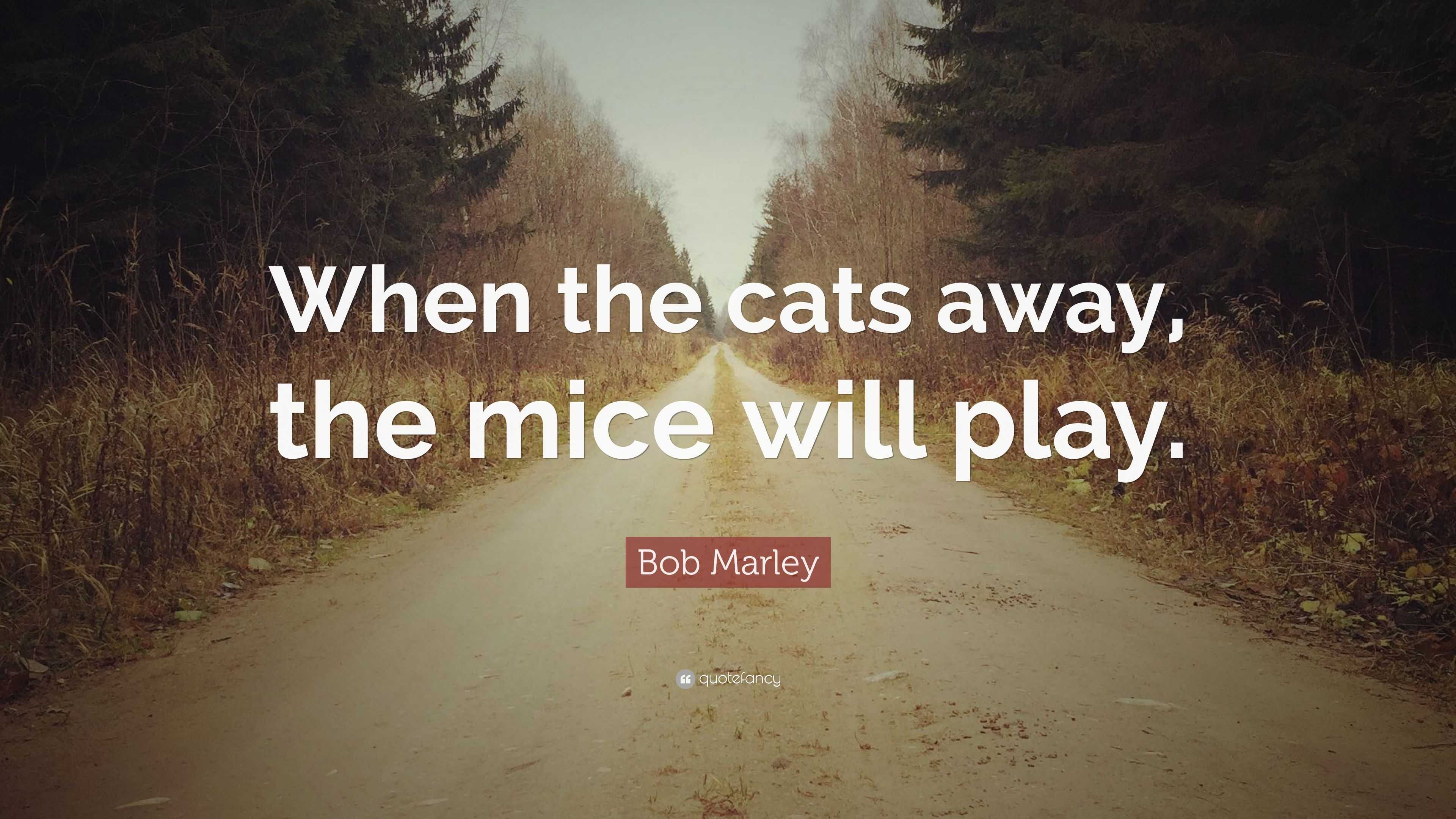 Bob Marley Quote “When the cats away, the mice will play.”