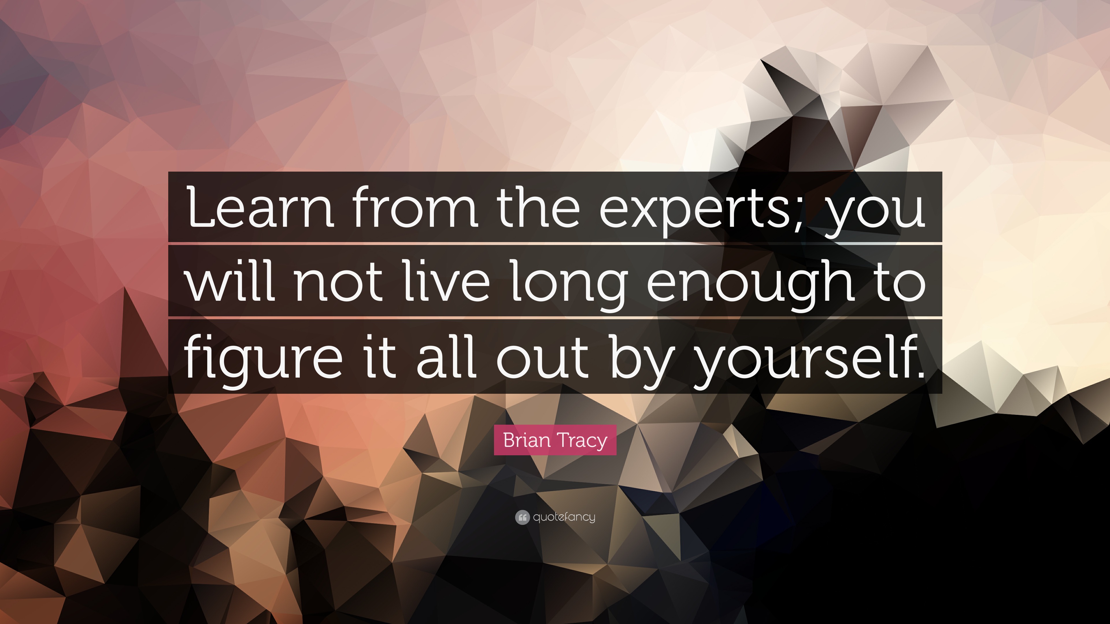 Brian Tracy Quote “learn From The Experts You Will Not Live Long