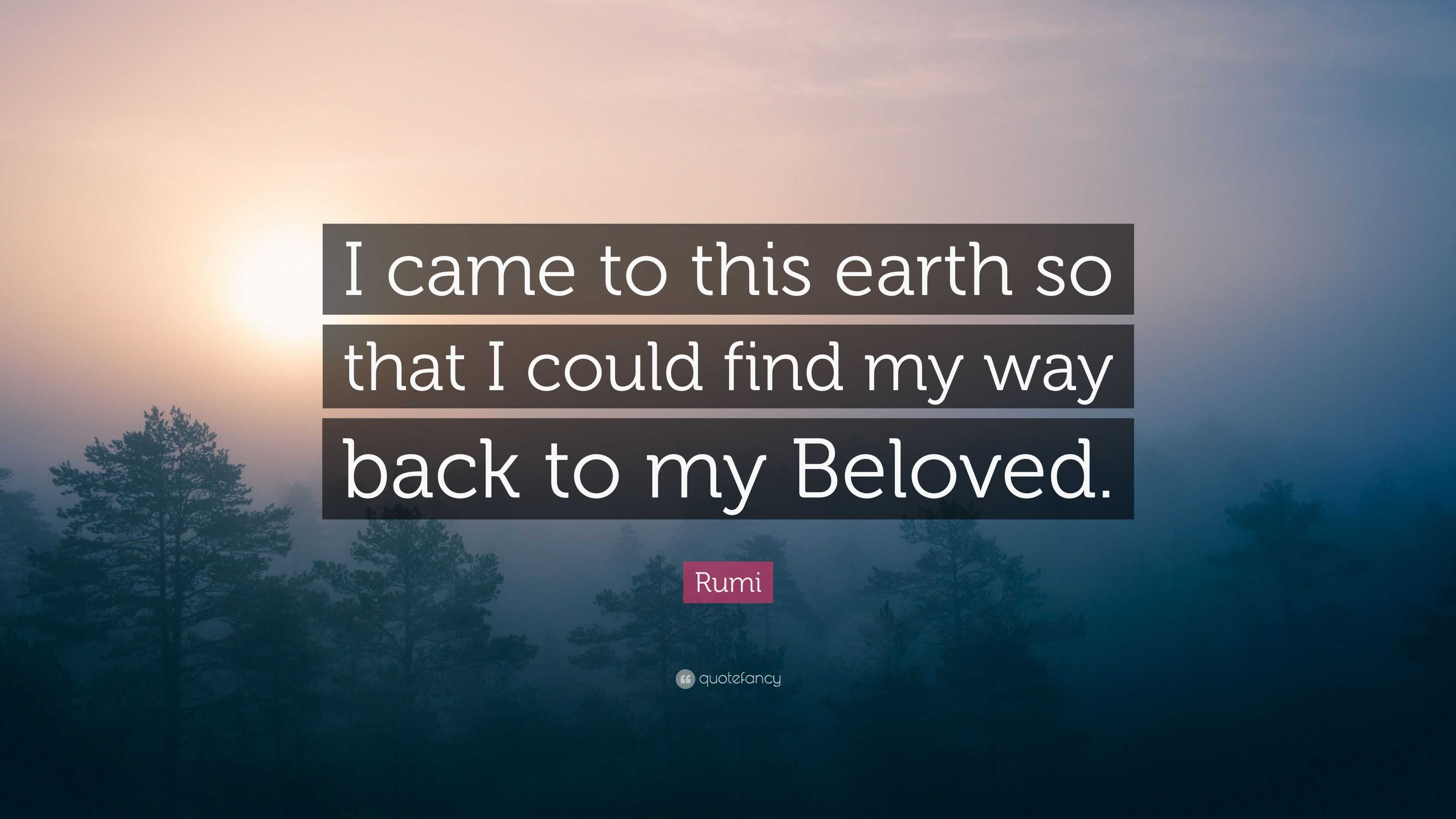 Rumi Quote: โI came to this earth so that I could find my way back to ...