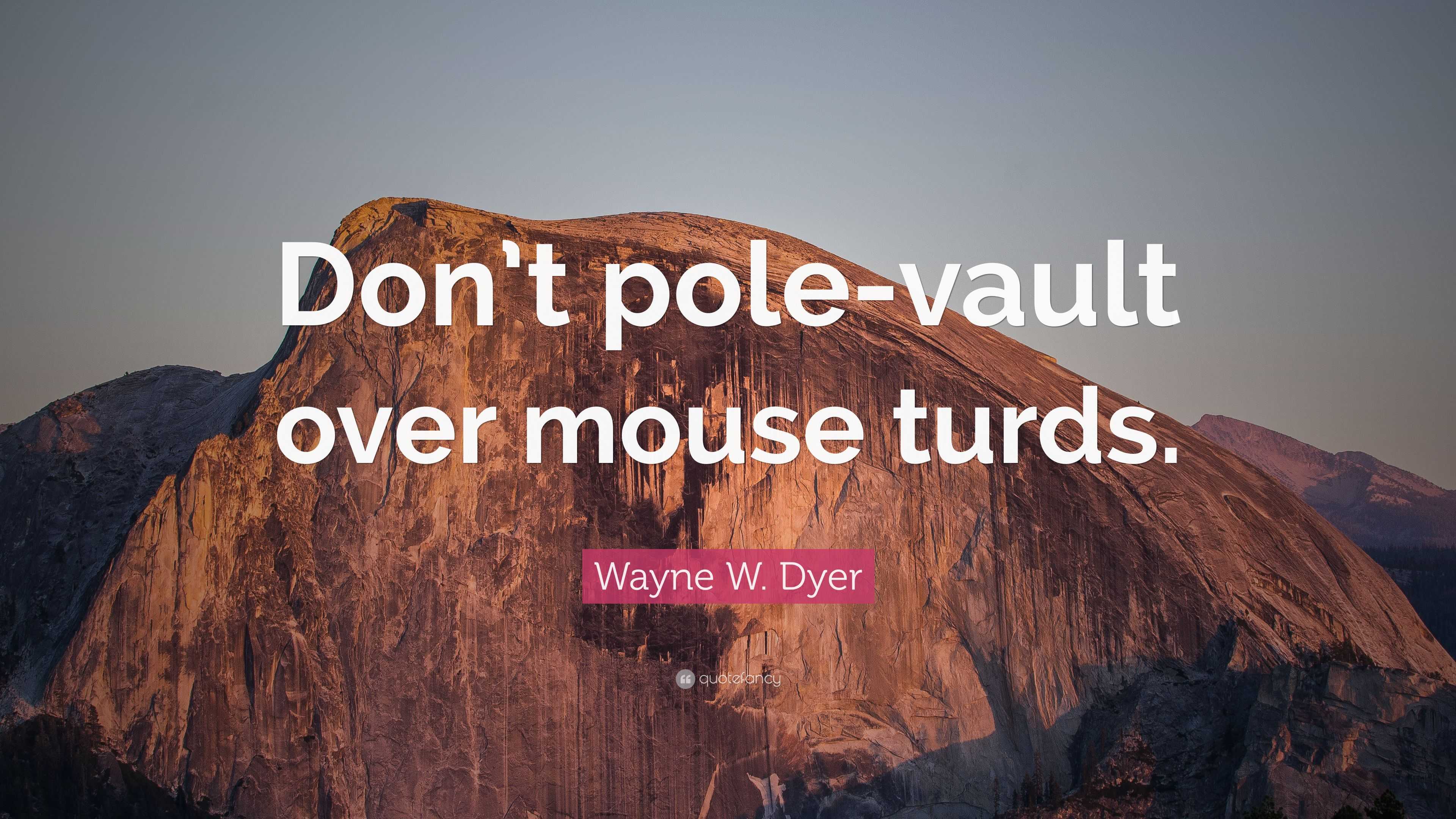 Wayne W. Dyer Quote: “Don’t pole-vault over mouse turds.” (10