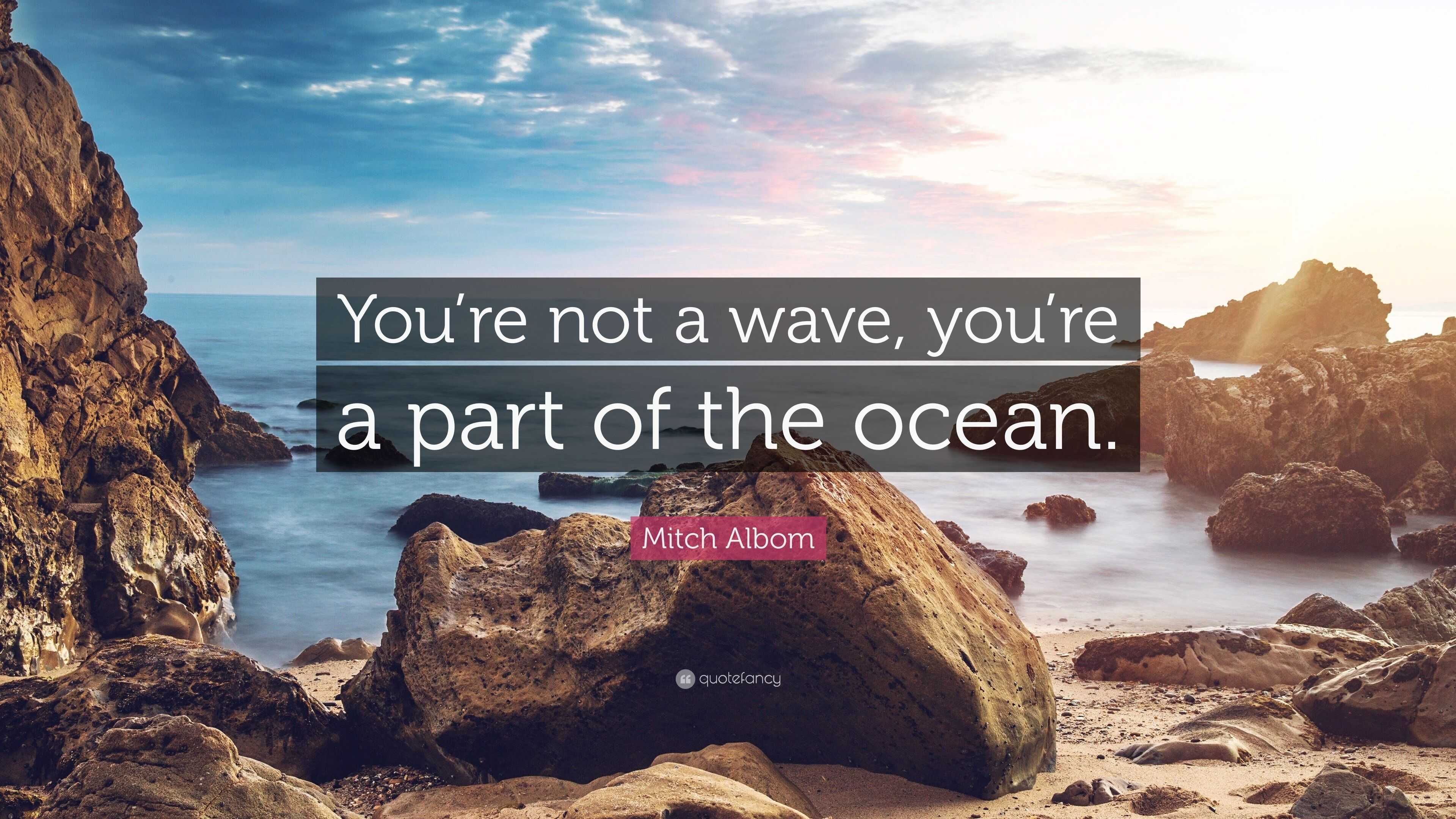 Mitch Albom Quote: “You’re not a wave, you’re a part of the ocean.”