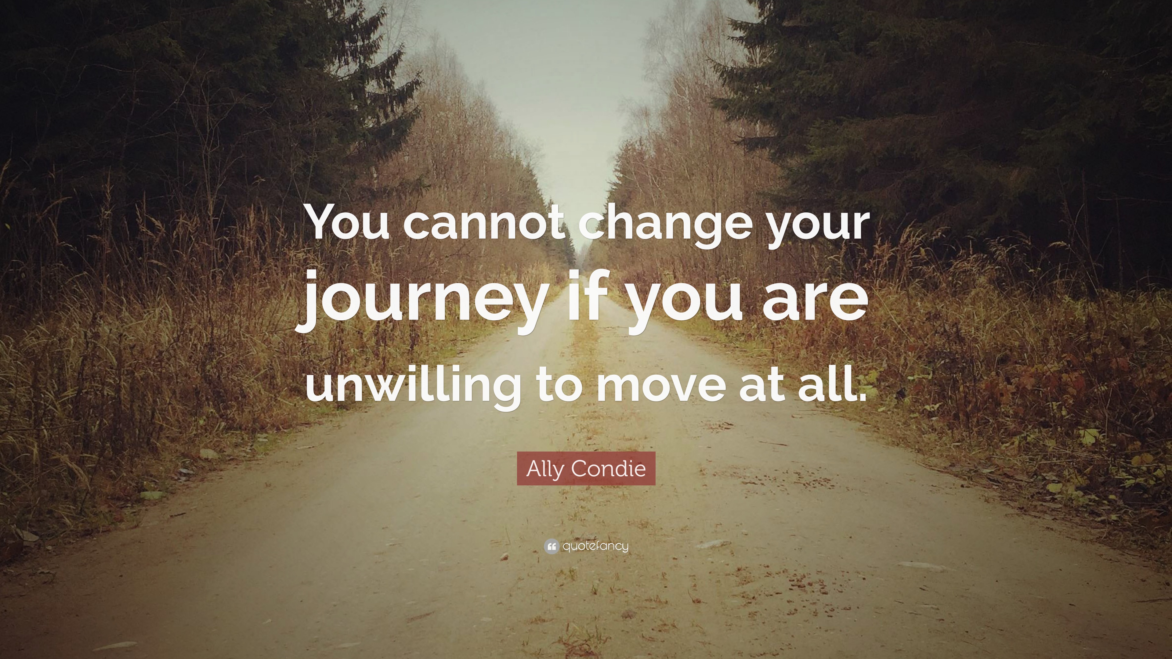 Ally Condie Quote: “You cannot change your journey if you are unwilling ...