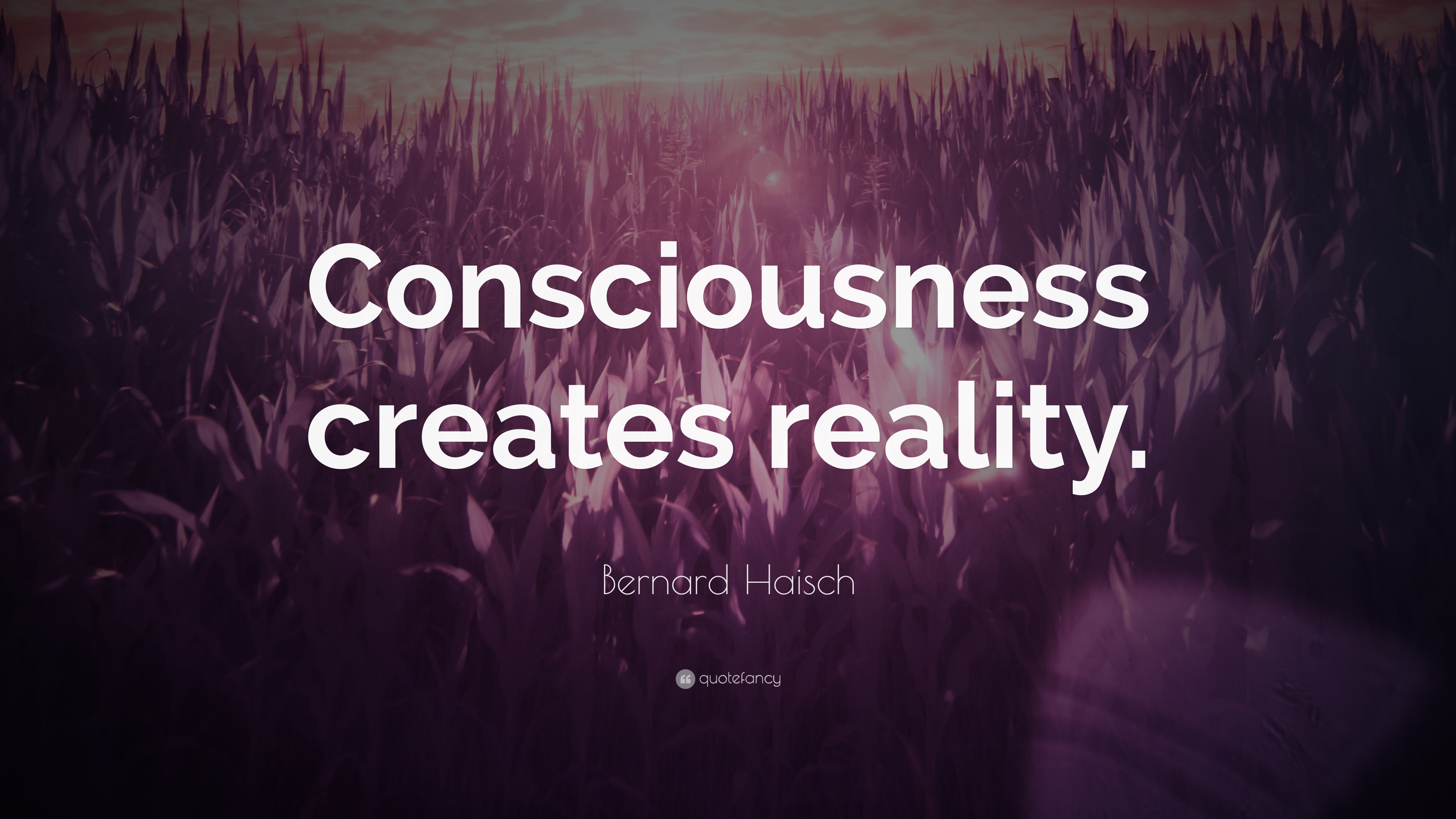 Bernard Haisch Quote: “Consciousness Creates Reality.”