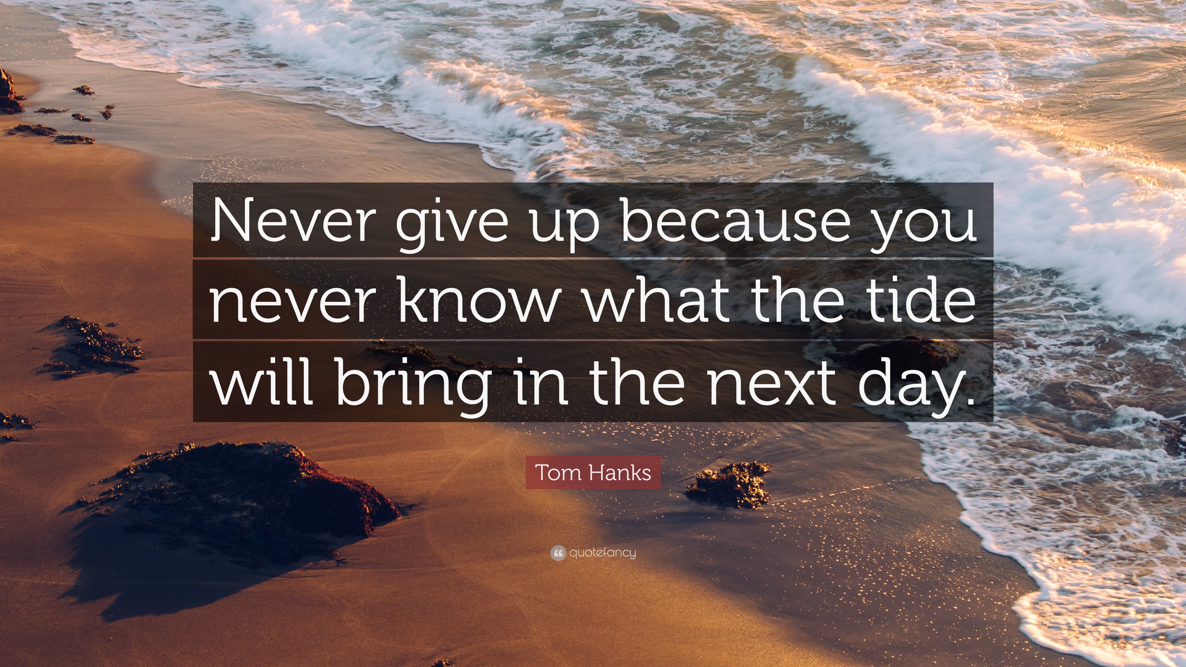 Tom Hanks Quote: “Never give up because you never know what the tide ...