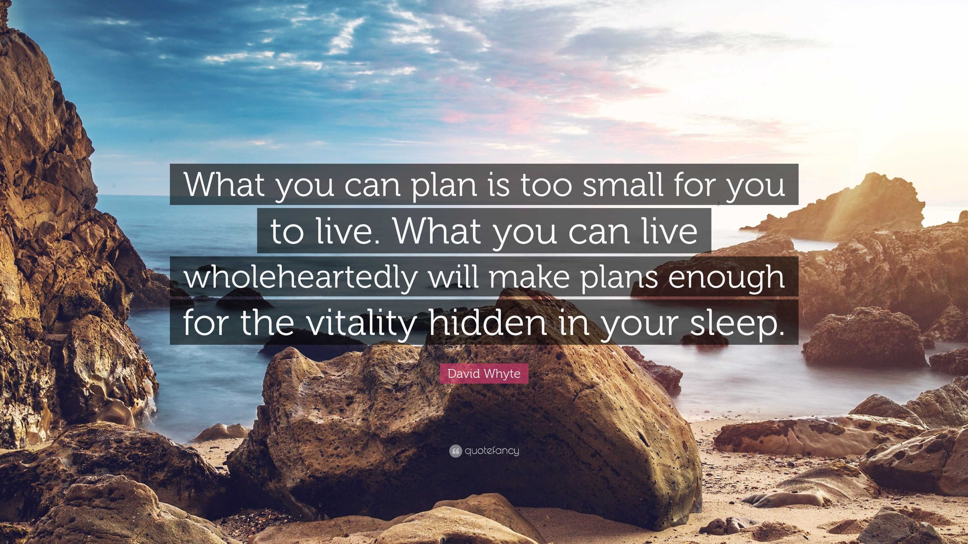 David Whyte Quote: “What you can plan is too small for you to live ...