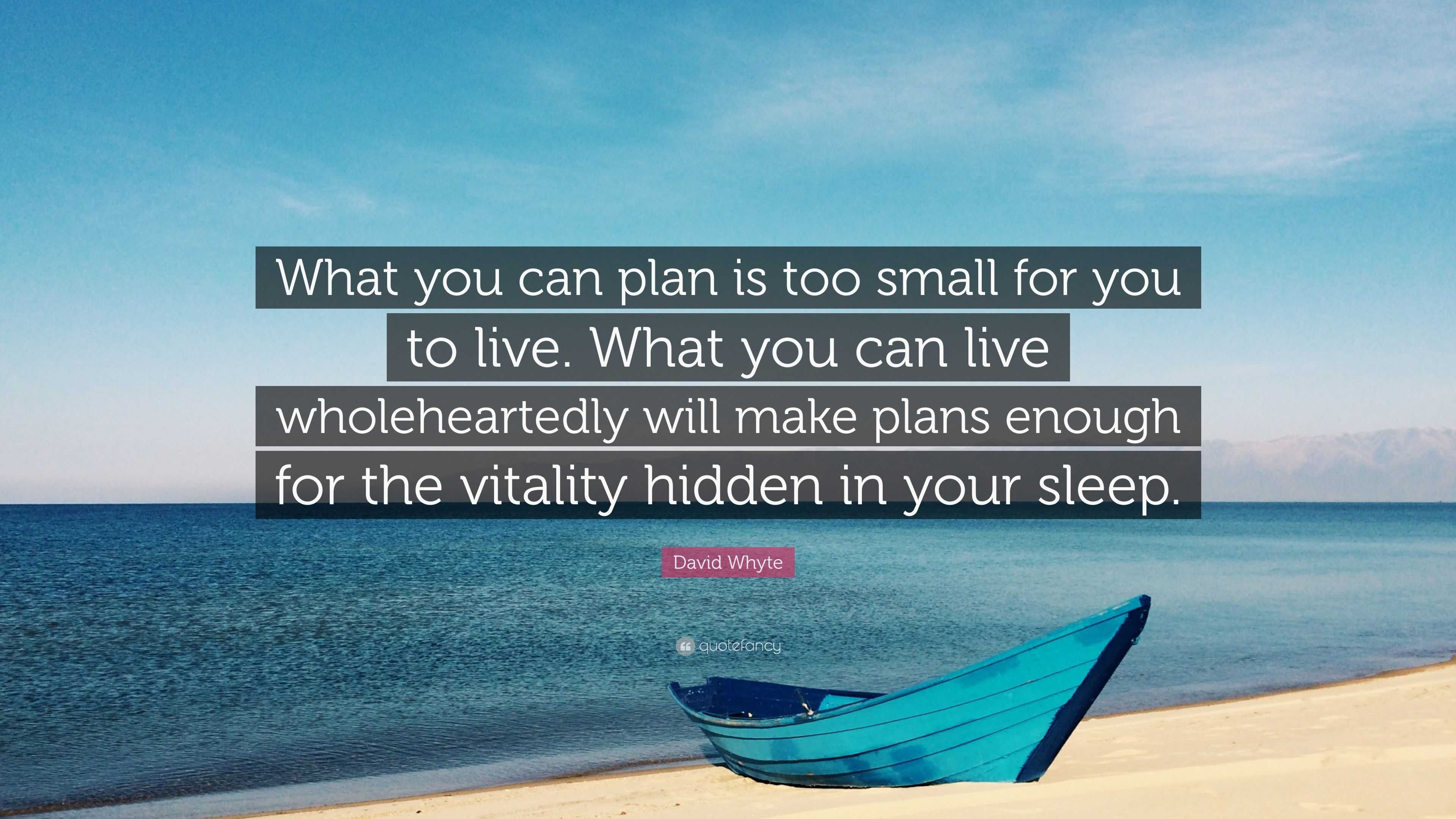 David Whyte Quote: “What you can plan is too small for you to live ...