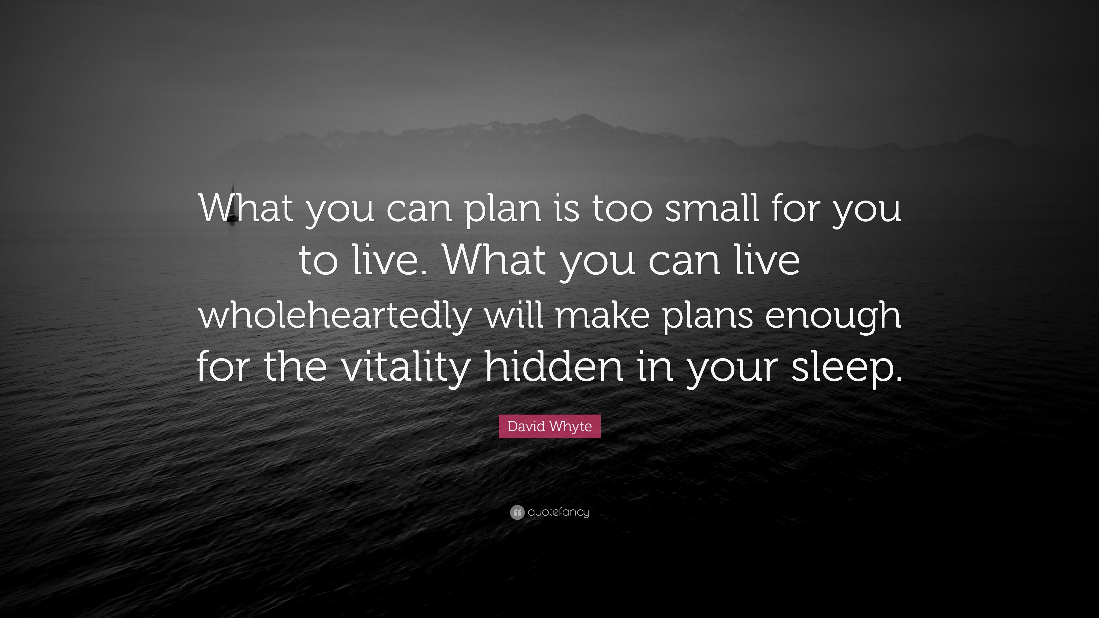 David Whyte Quote: “What you can plan is too small for you to live ...