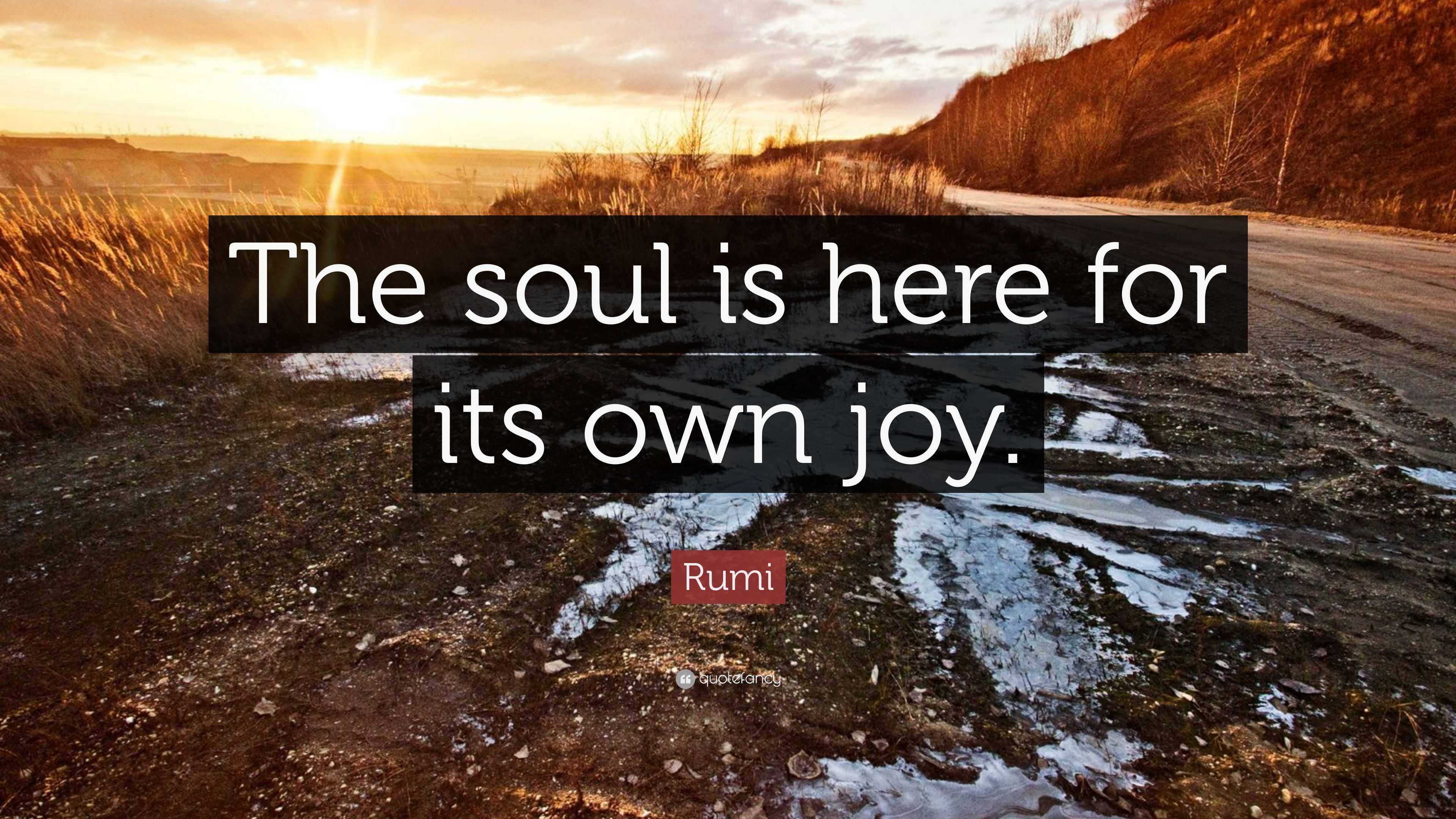 Rumi Quote “The soul is here for its own joy.”