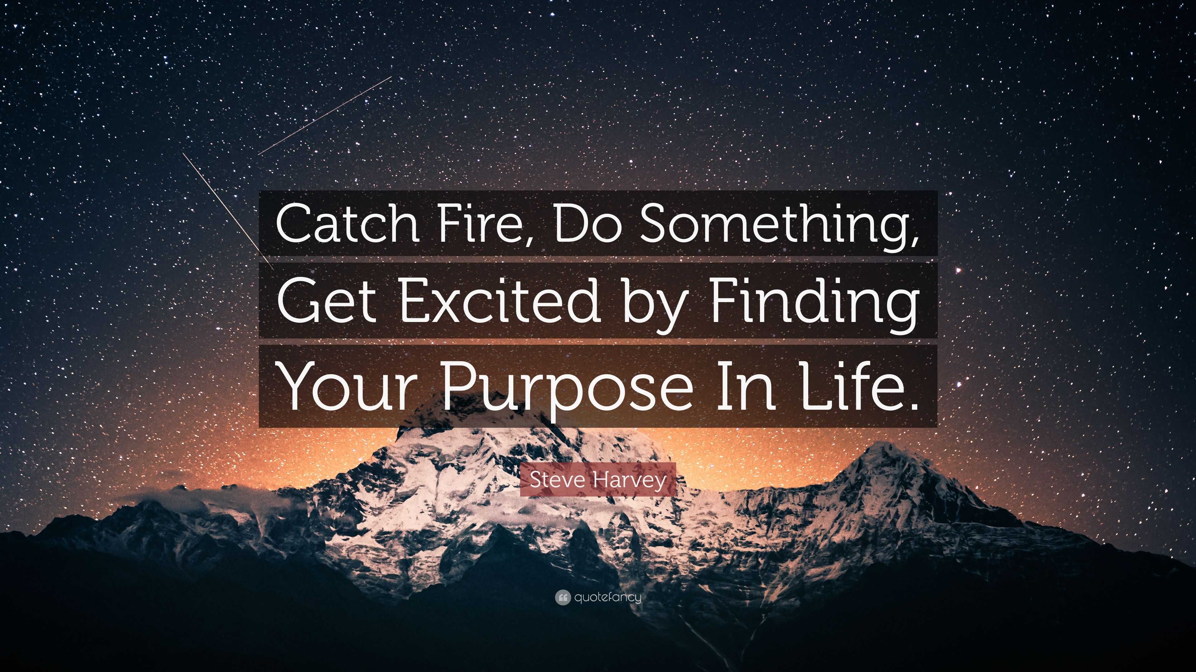 Steve Harvey Quote “Catch Fire Do Something Get Excited by Finding Your