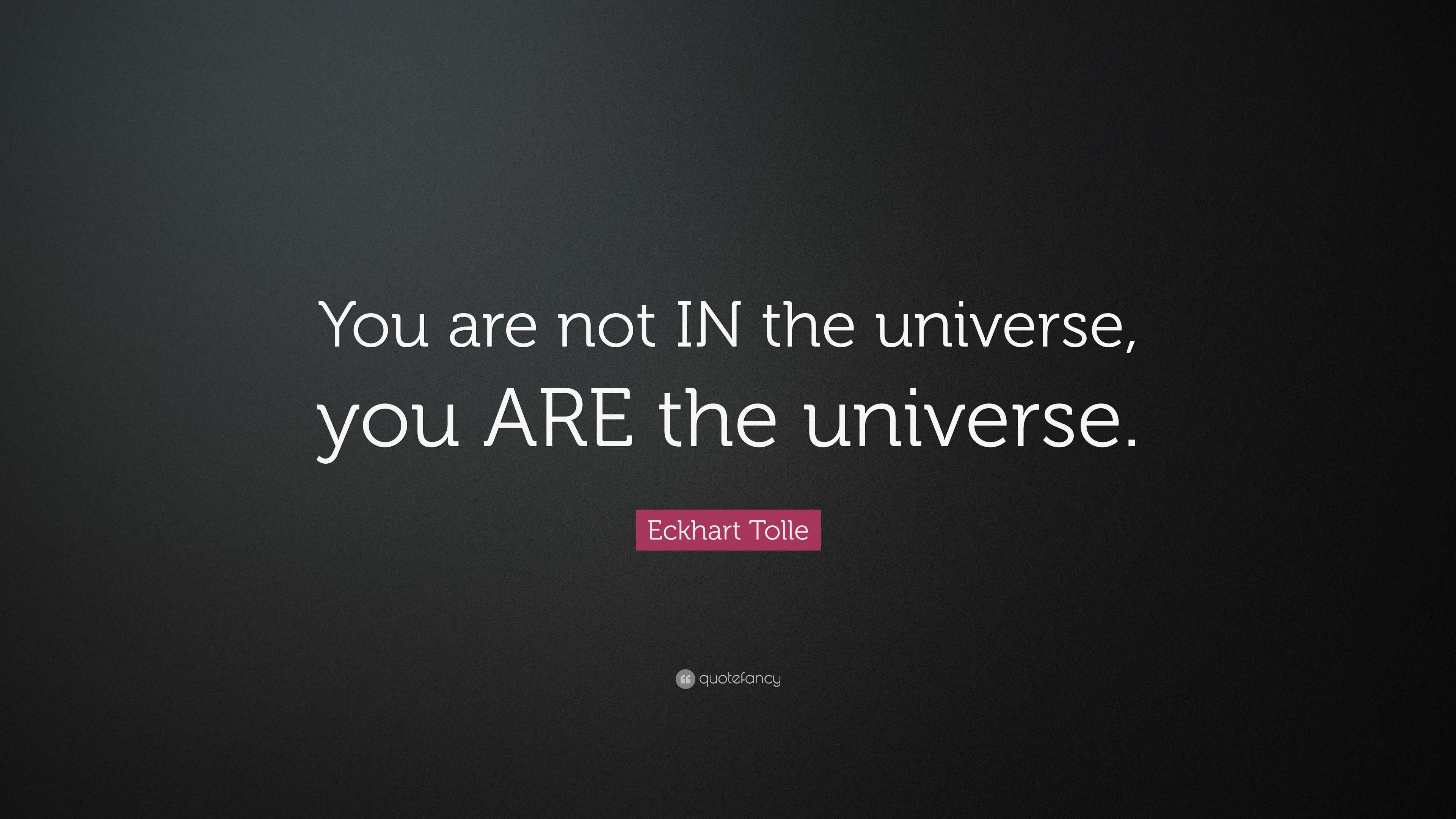 Eckhart Tolle Quote: “You are not IN the universe, you ARE the universe.”