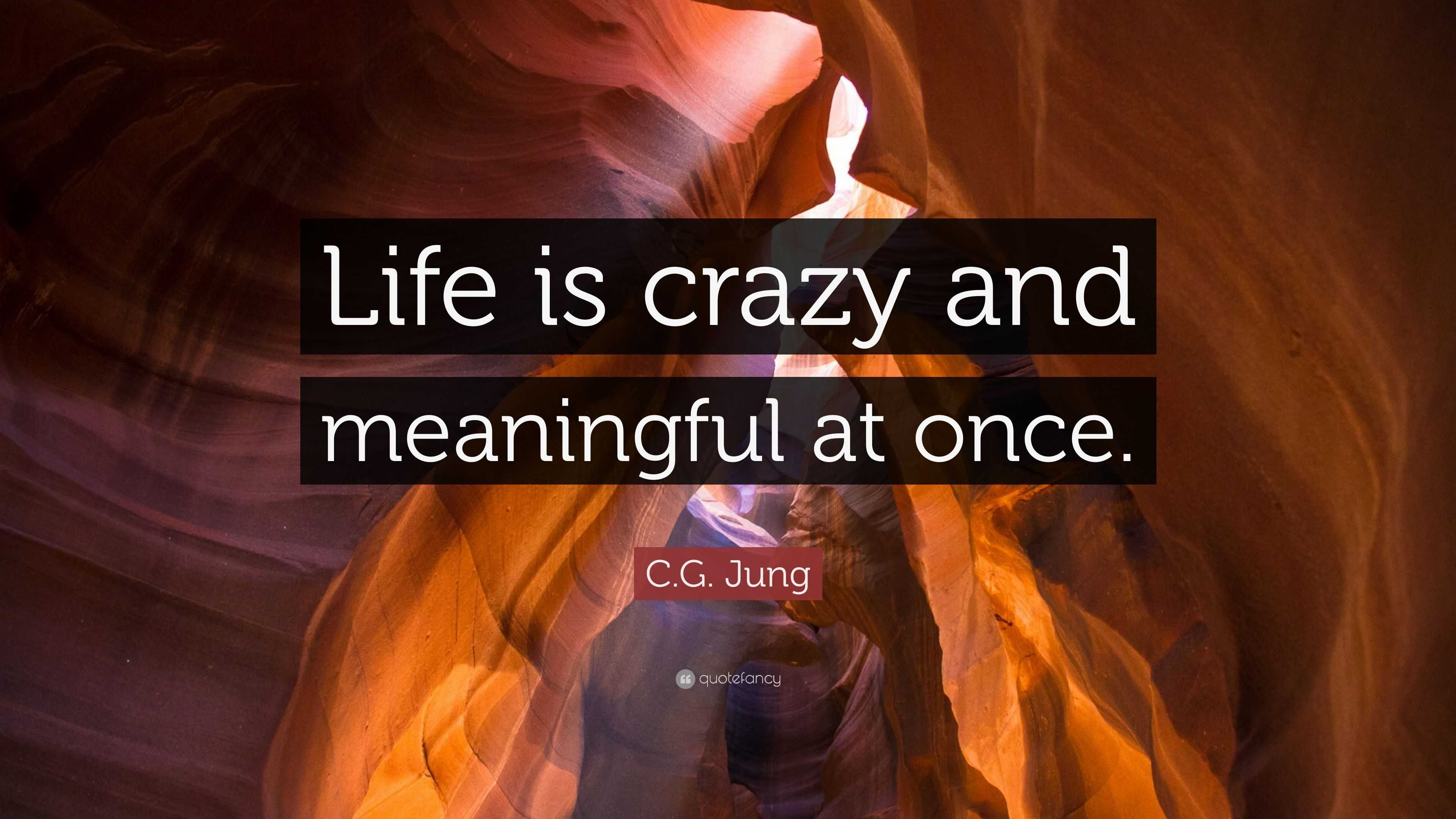 C.G. Jung Quote “Life is crazy and meaningful at once.”