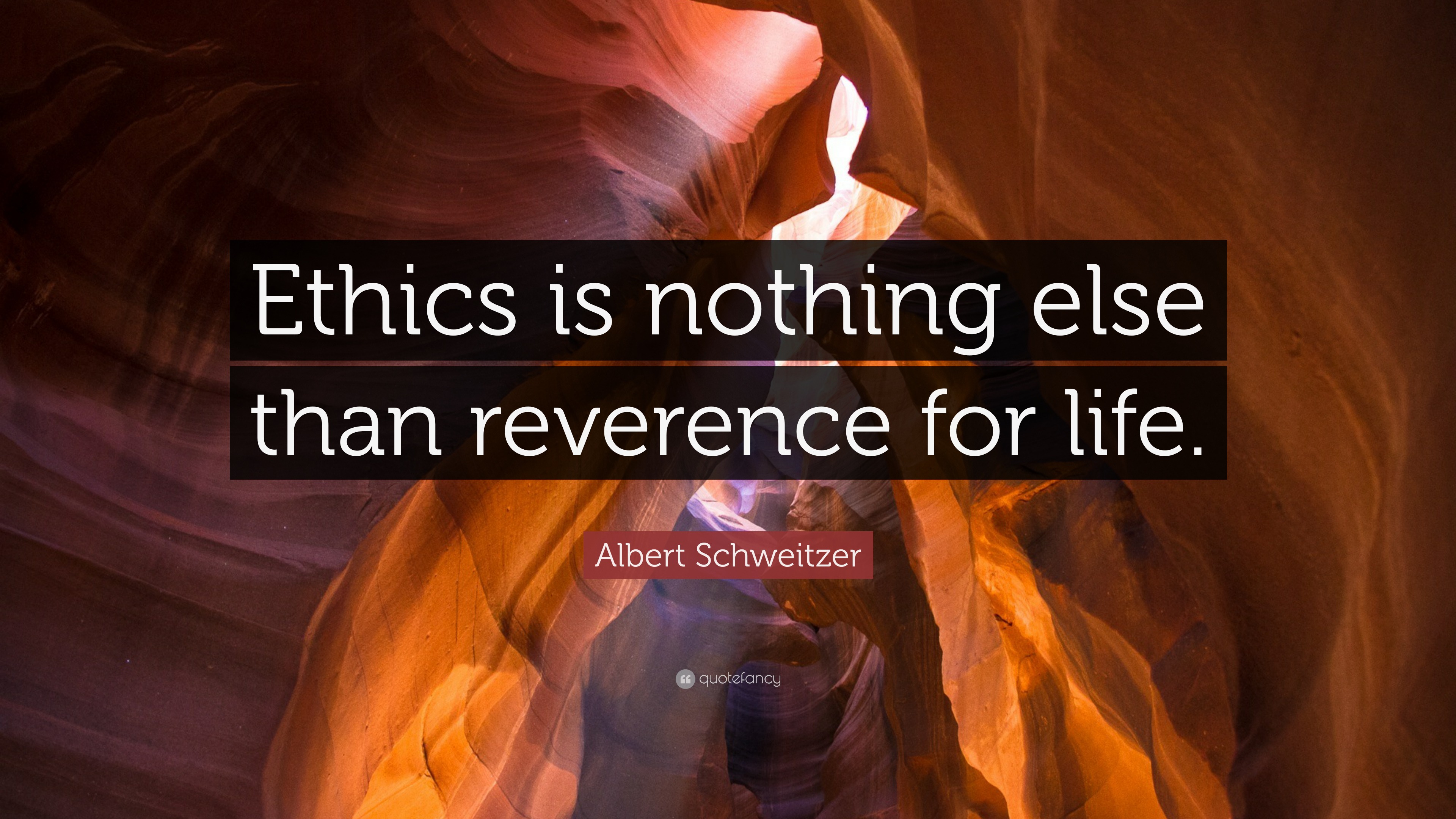 Albert Schweitzer Quote: “Ethics is nothing else than reverence for life.”