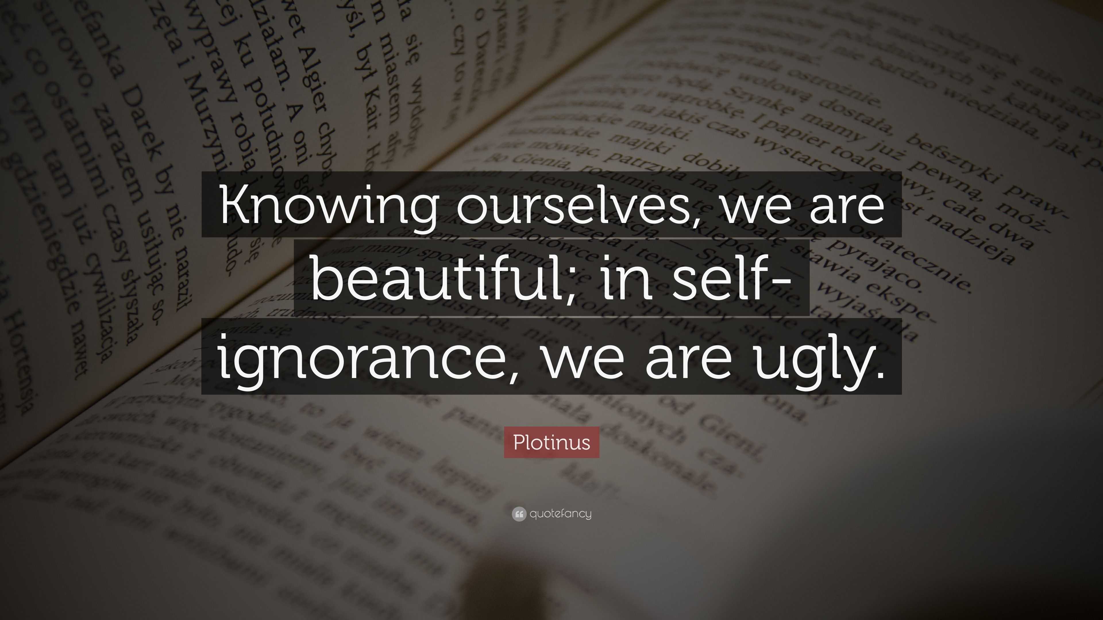 Plotinus Quote: “Knowing ourselves, we are beautiful; in self-ignorance ...