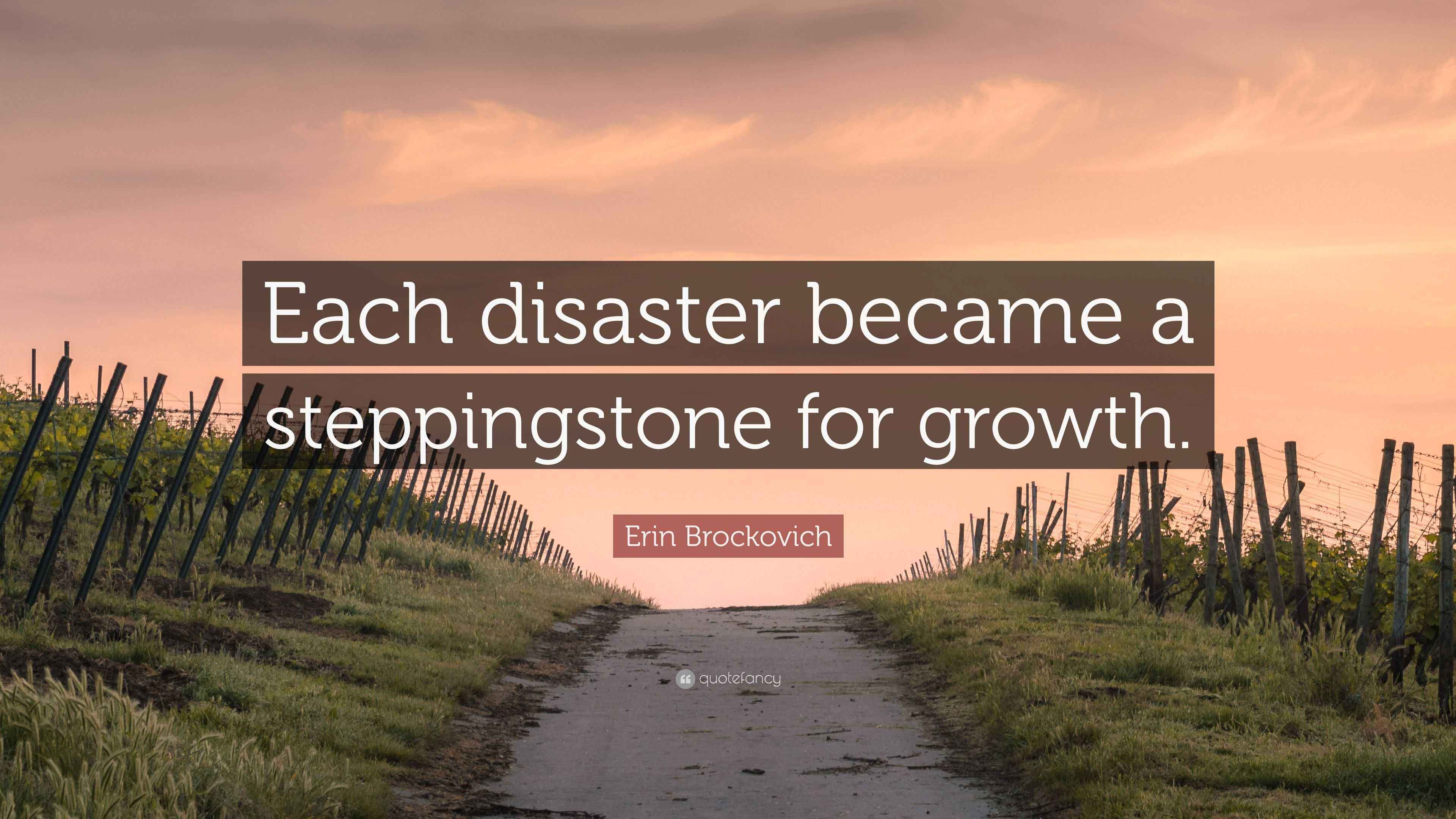 Erin Brockovich Quote: “Each disaster became a steppingstone for growth.”