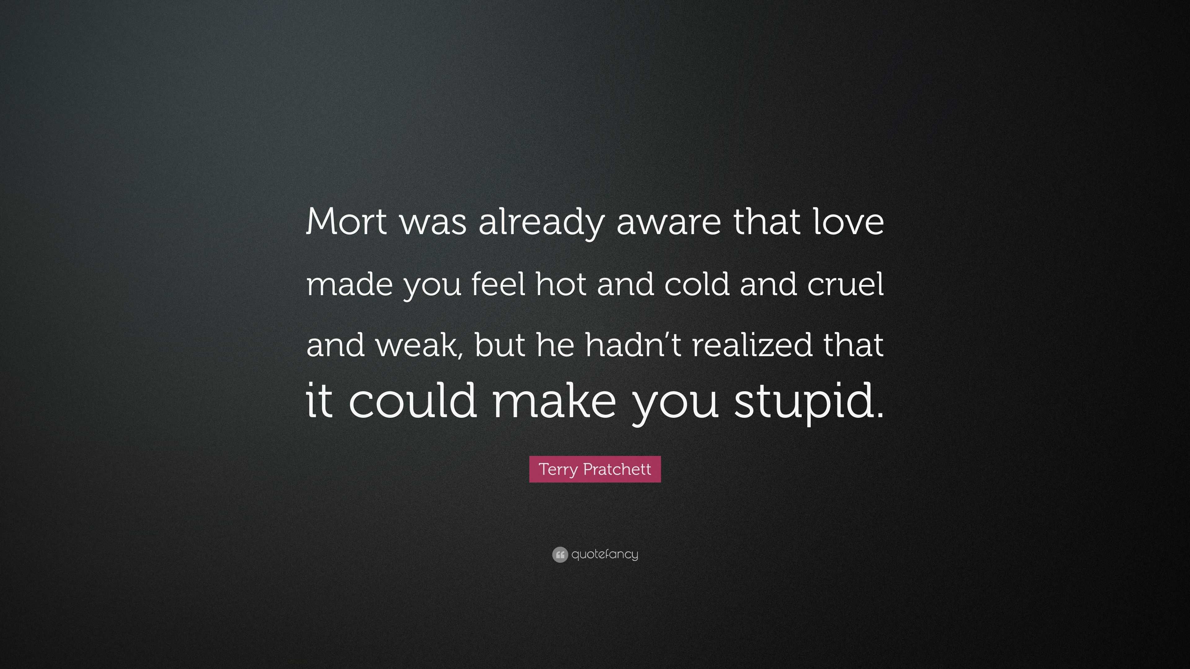 Terry Pratchett Quote “Mort was already aware that love made you feel hot and