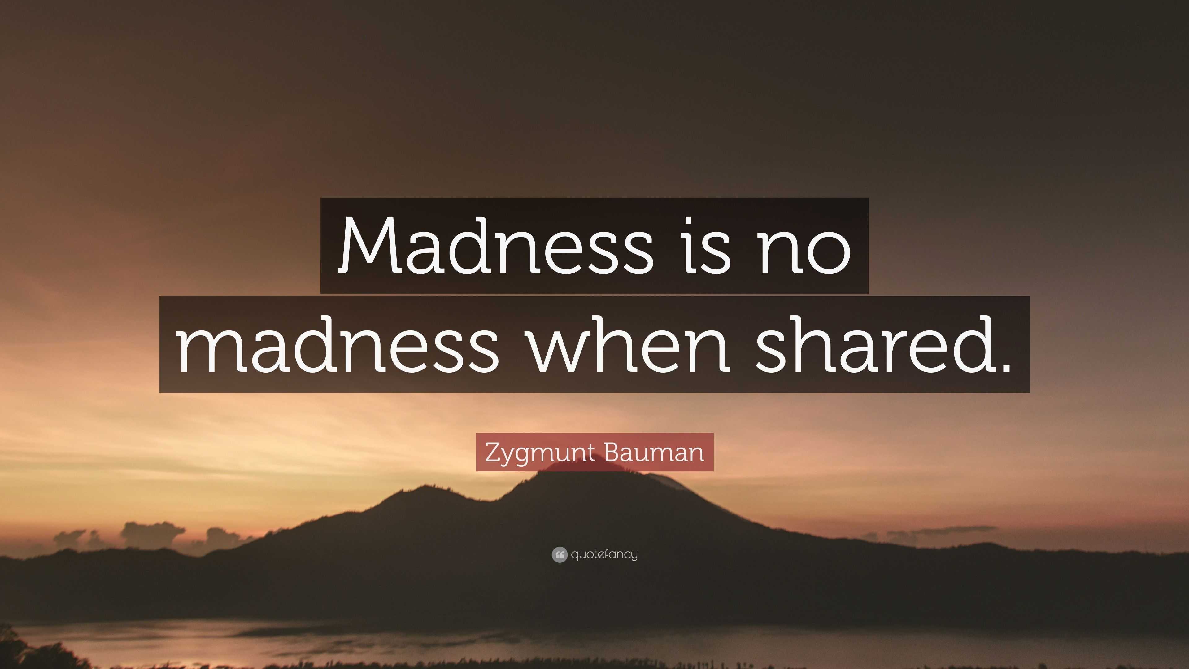 zygmunt-bauman-quote-madness-is-no-madness-when-shared