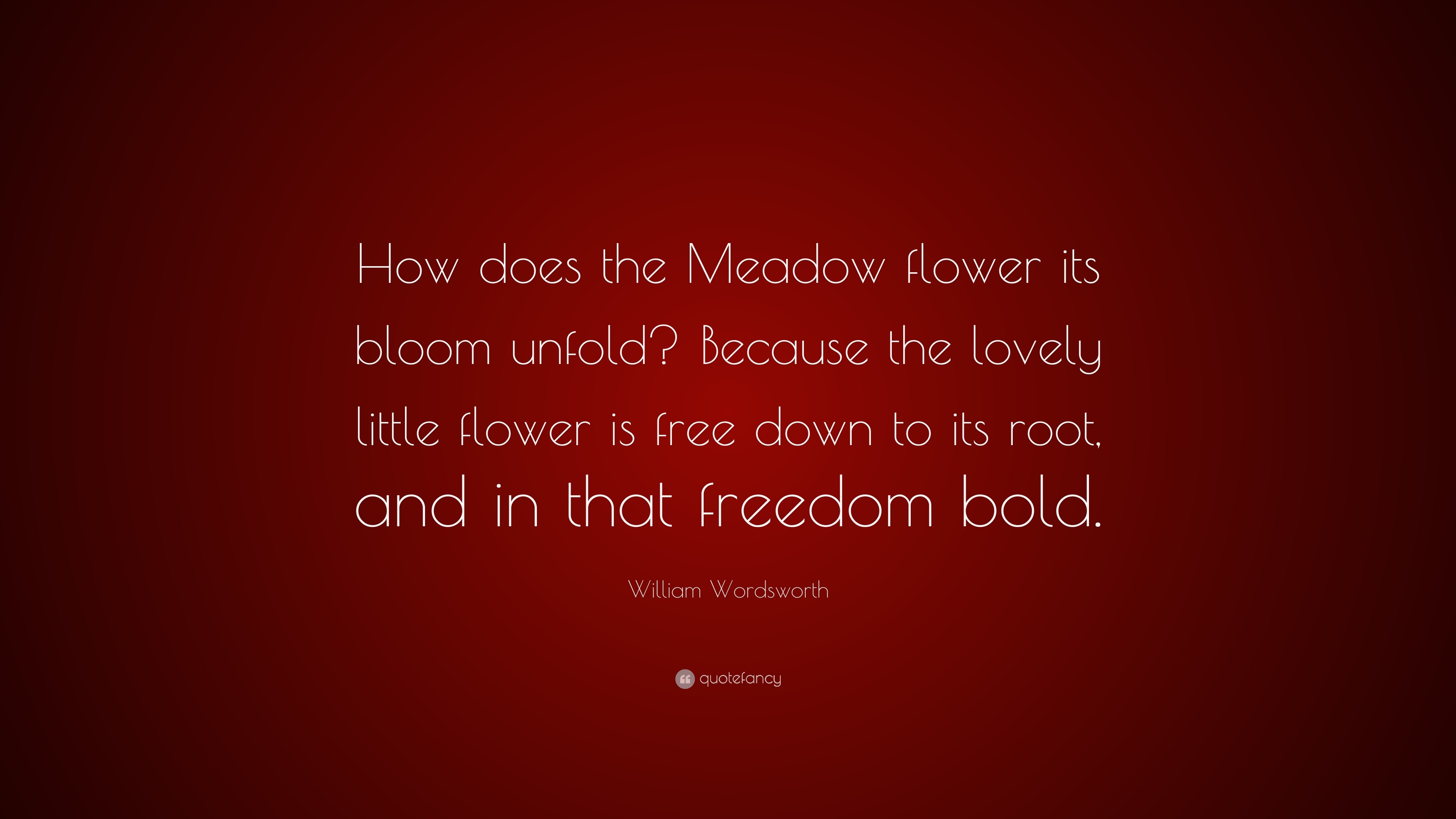 William Wordsworth Quote “How does the Meadow flower its bloom unfold