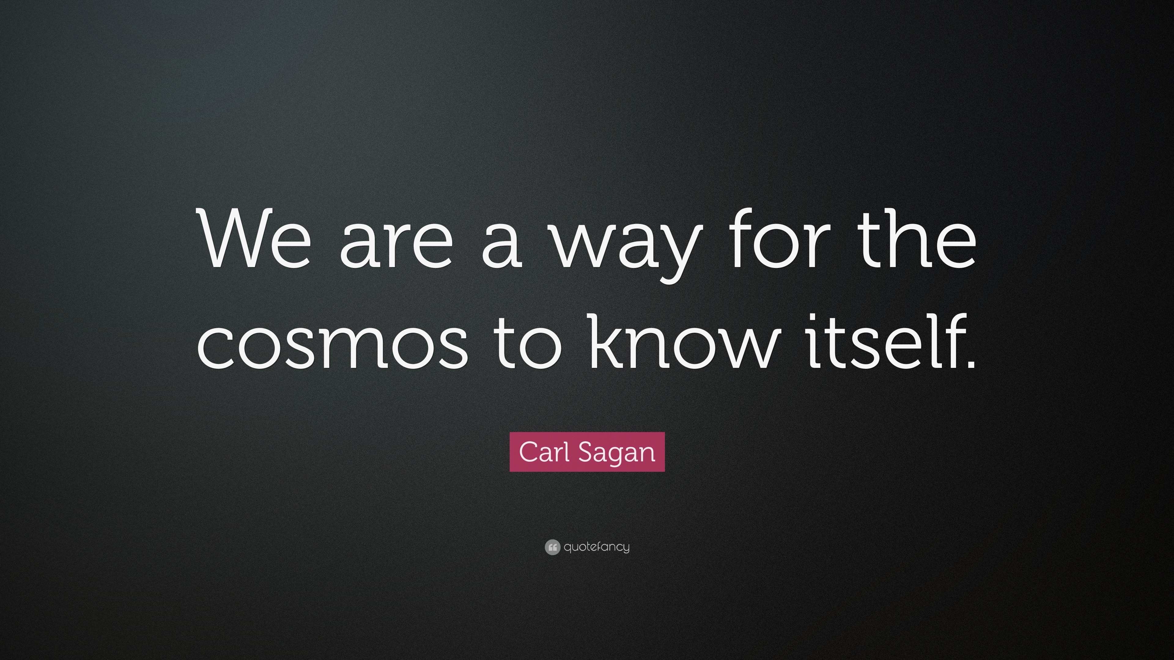 Carl Sagan Quote: “We are a way for the cosmos to know itself.”