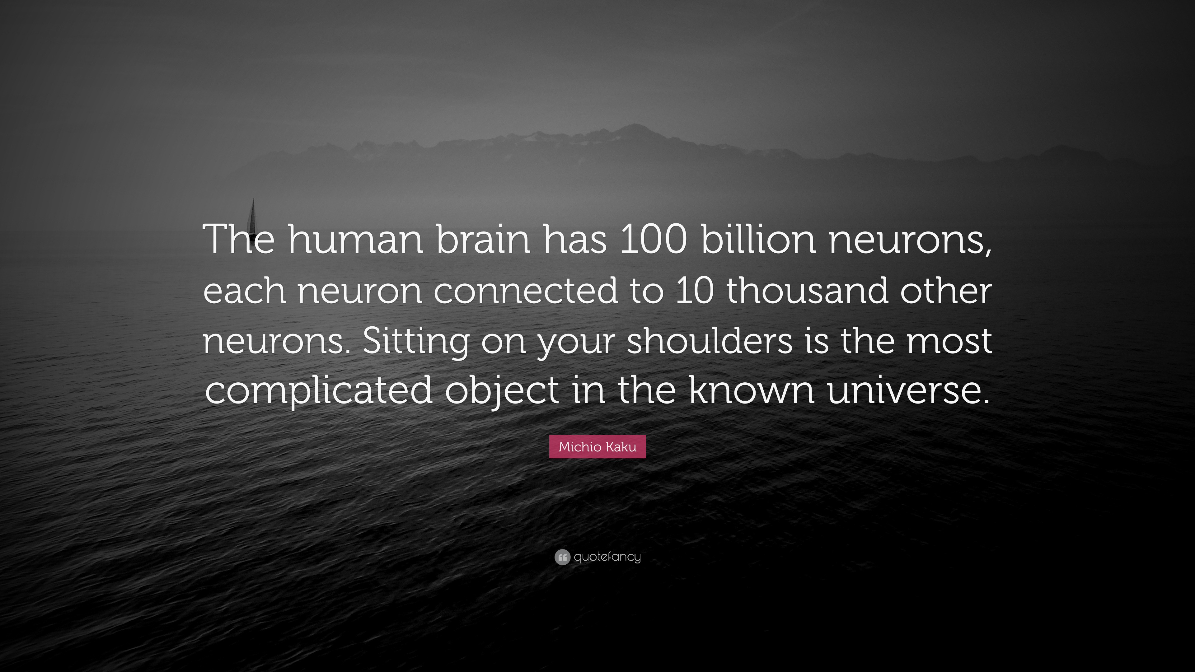 Michio Kaku Quote: “The human brain has 100 billion neurons, each ...