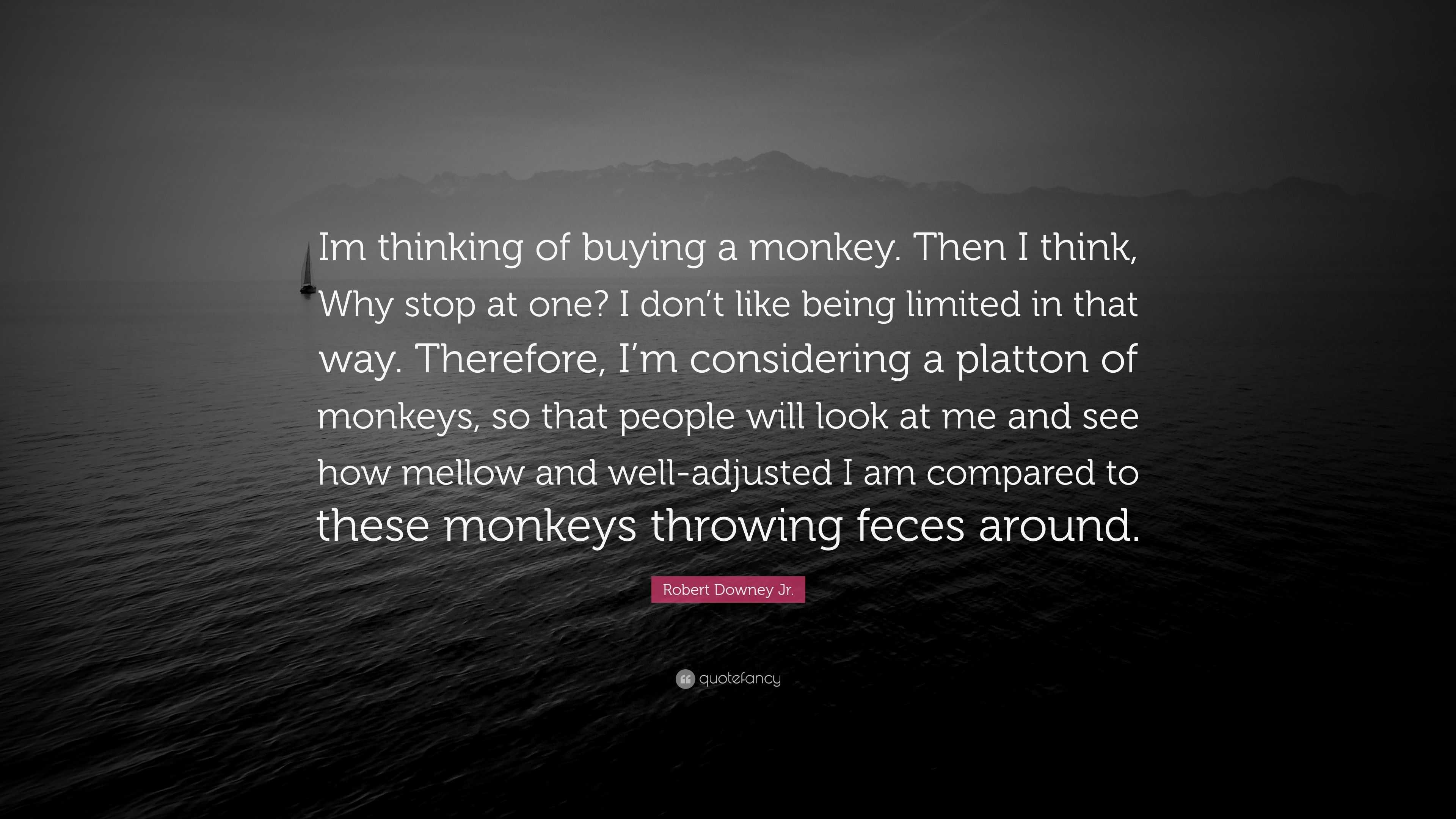 Robert Downey Jr. Quote: “im Thinking Of Buying A Monkey. Then I Think 