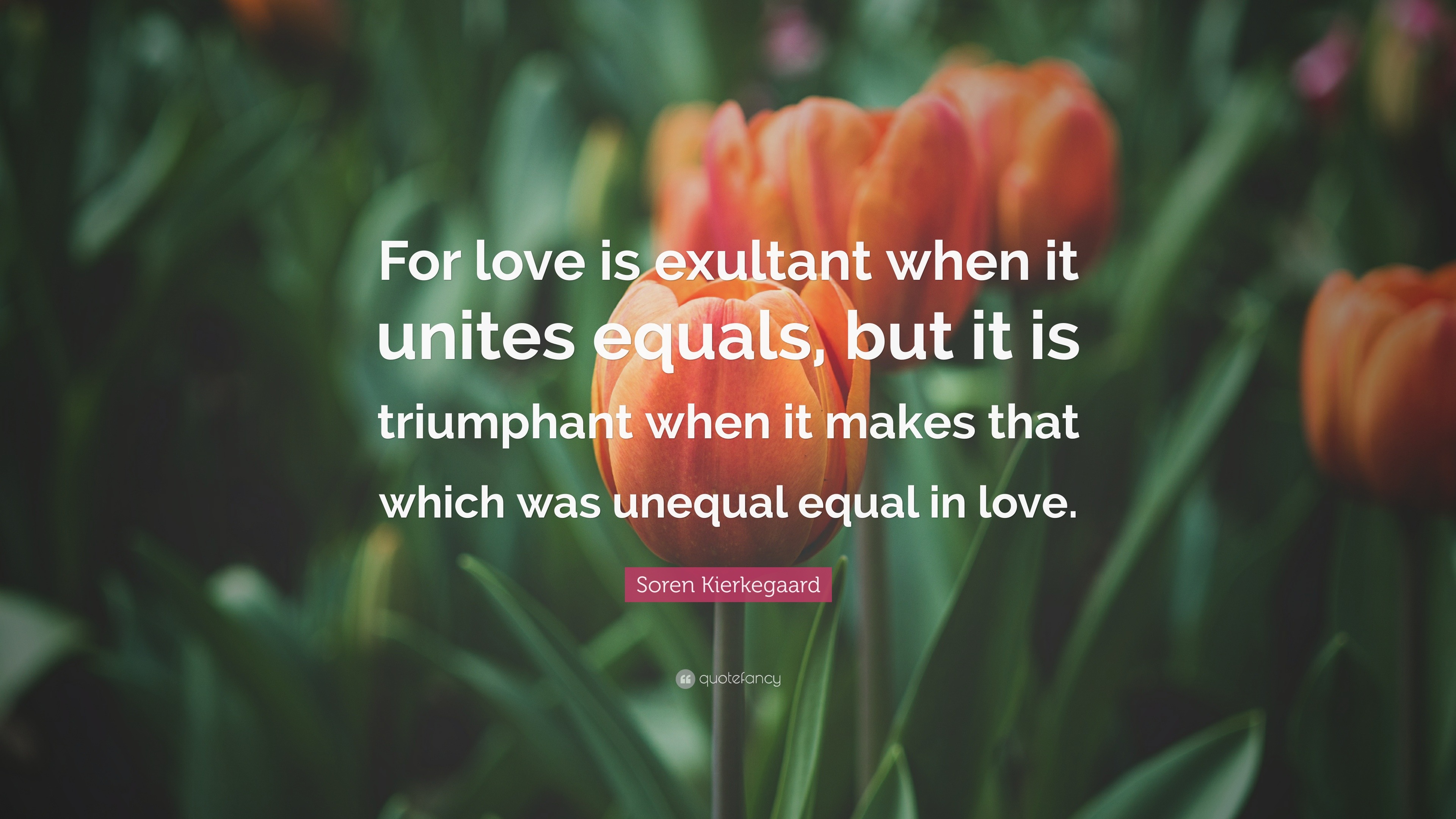 Soren Kierkegaard Quote: “For love is exultant when it unites equals ...