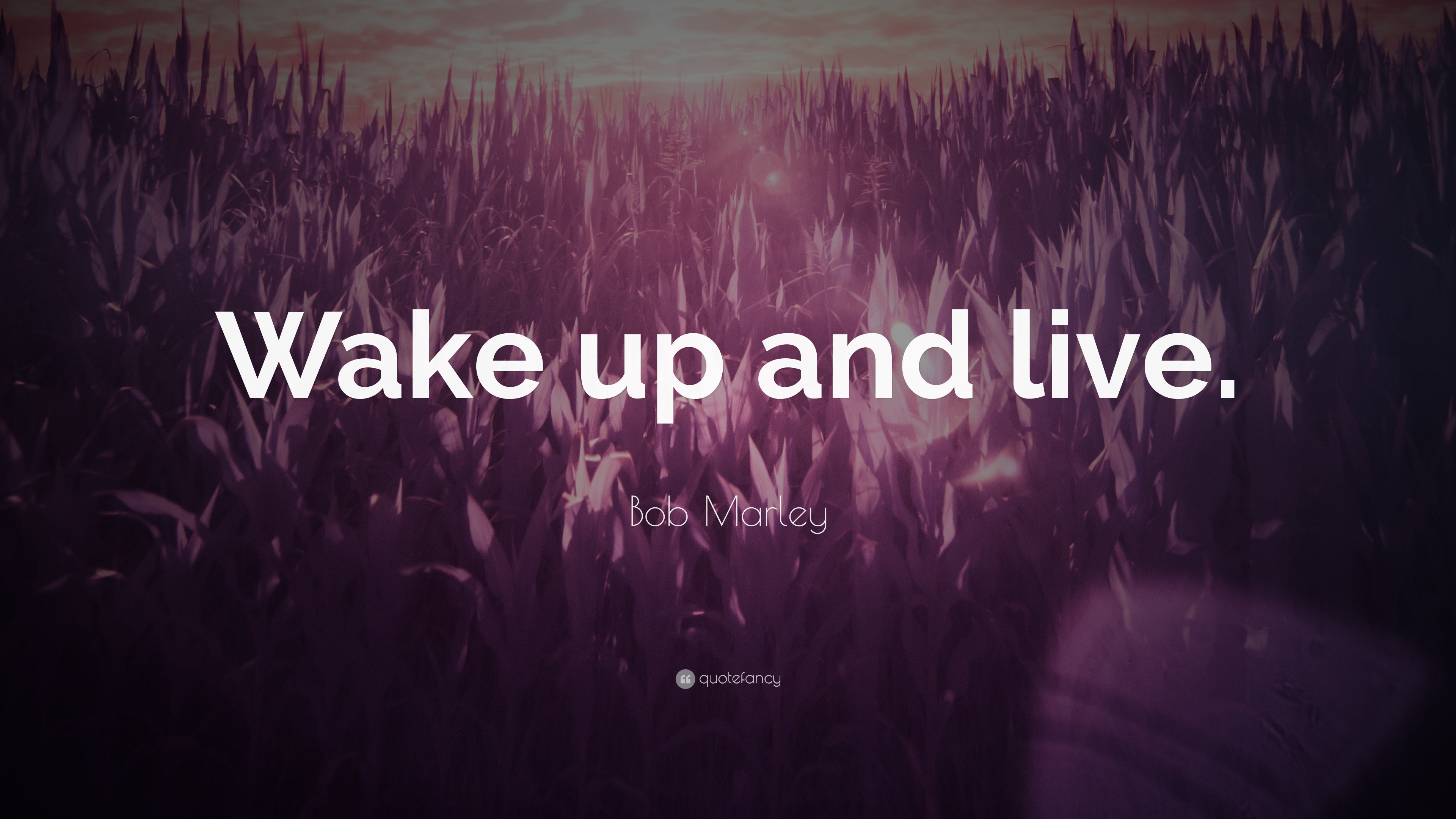 Wake up Wallpapers Download  MobCup