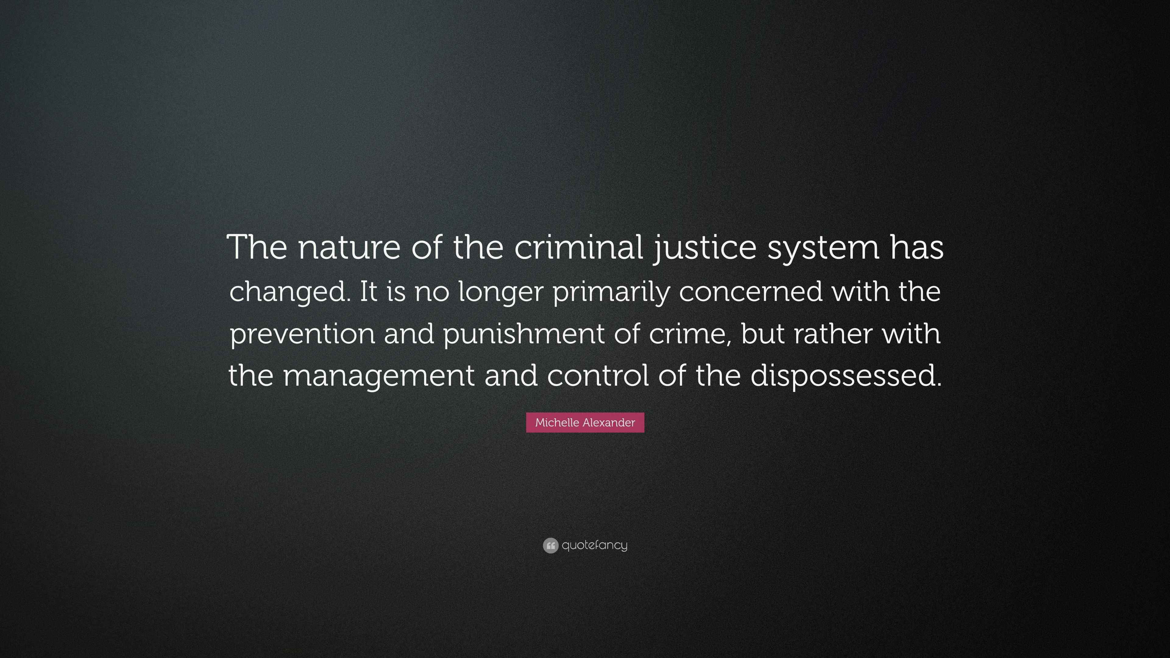 Michelle Alexander Quote: “The nature of the criminal justice system