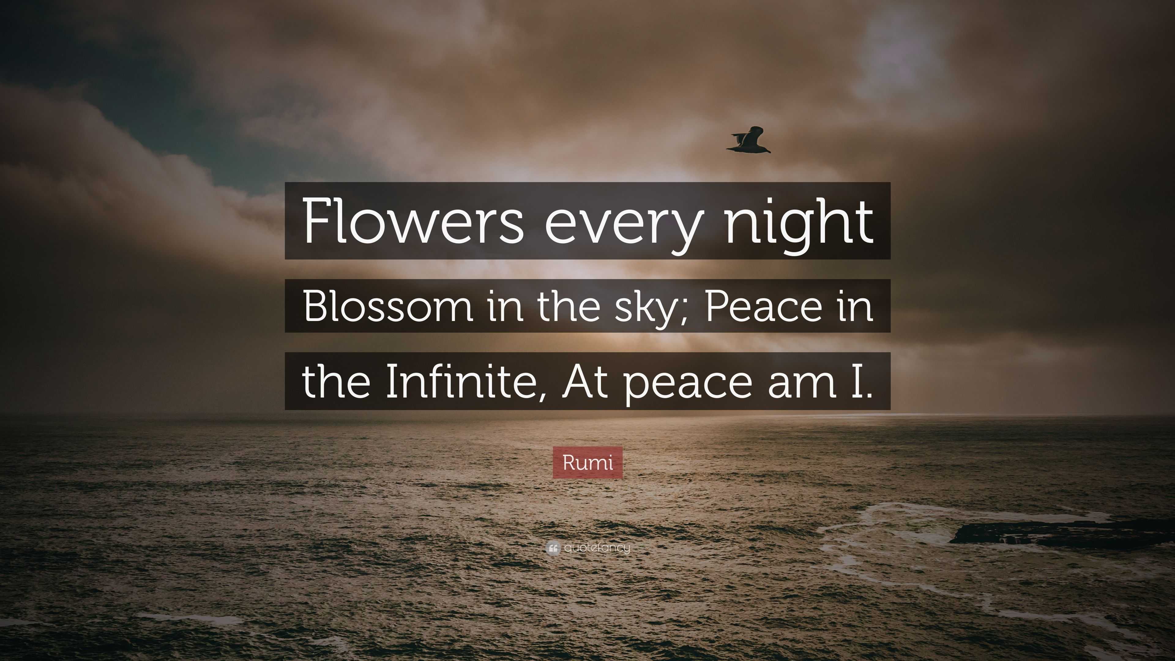 rumi quotes on peace        <h3 class=