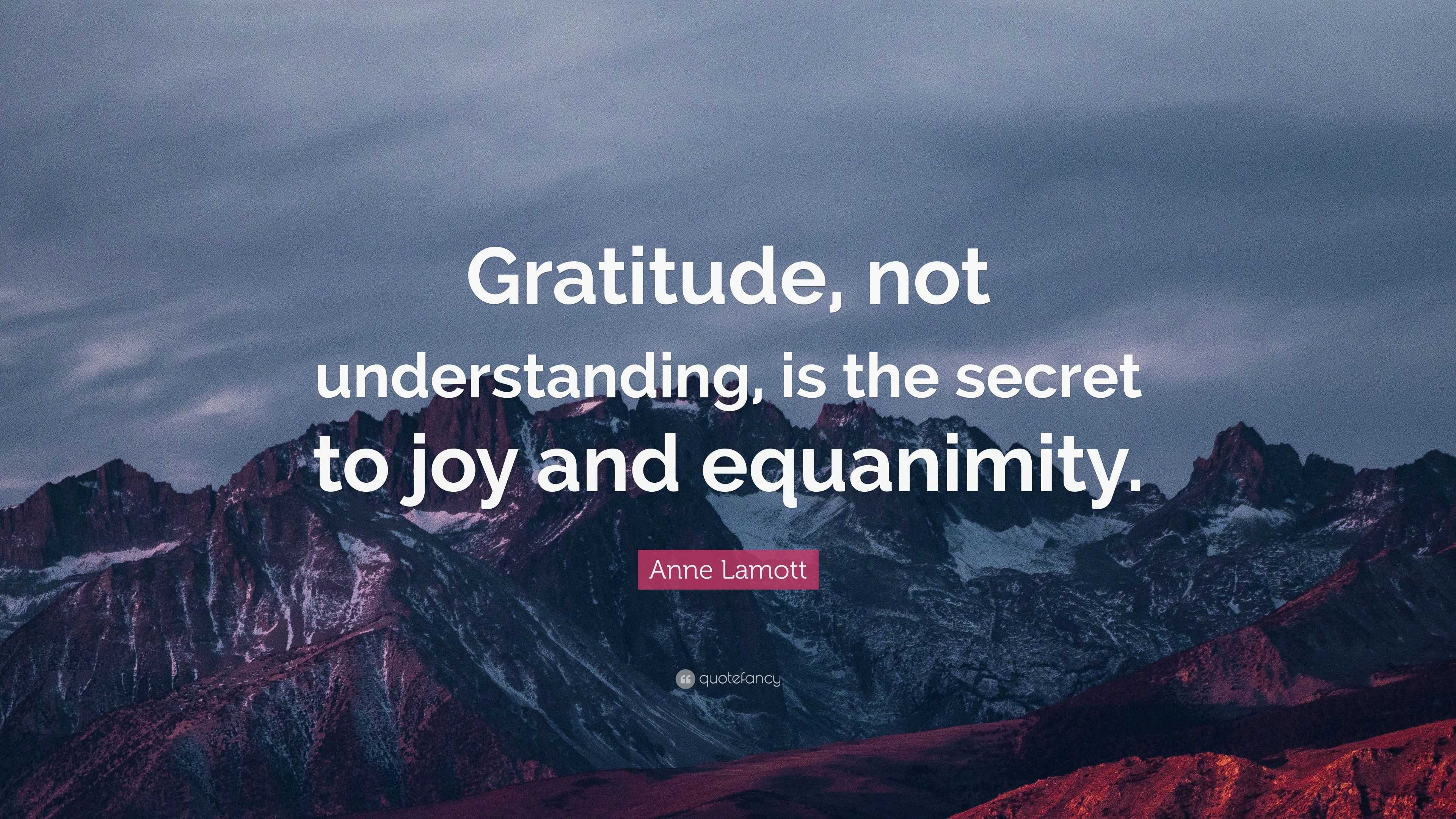 Anne Lamott Quote: “Gratitude, not understanding, is the secret to joy ...