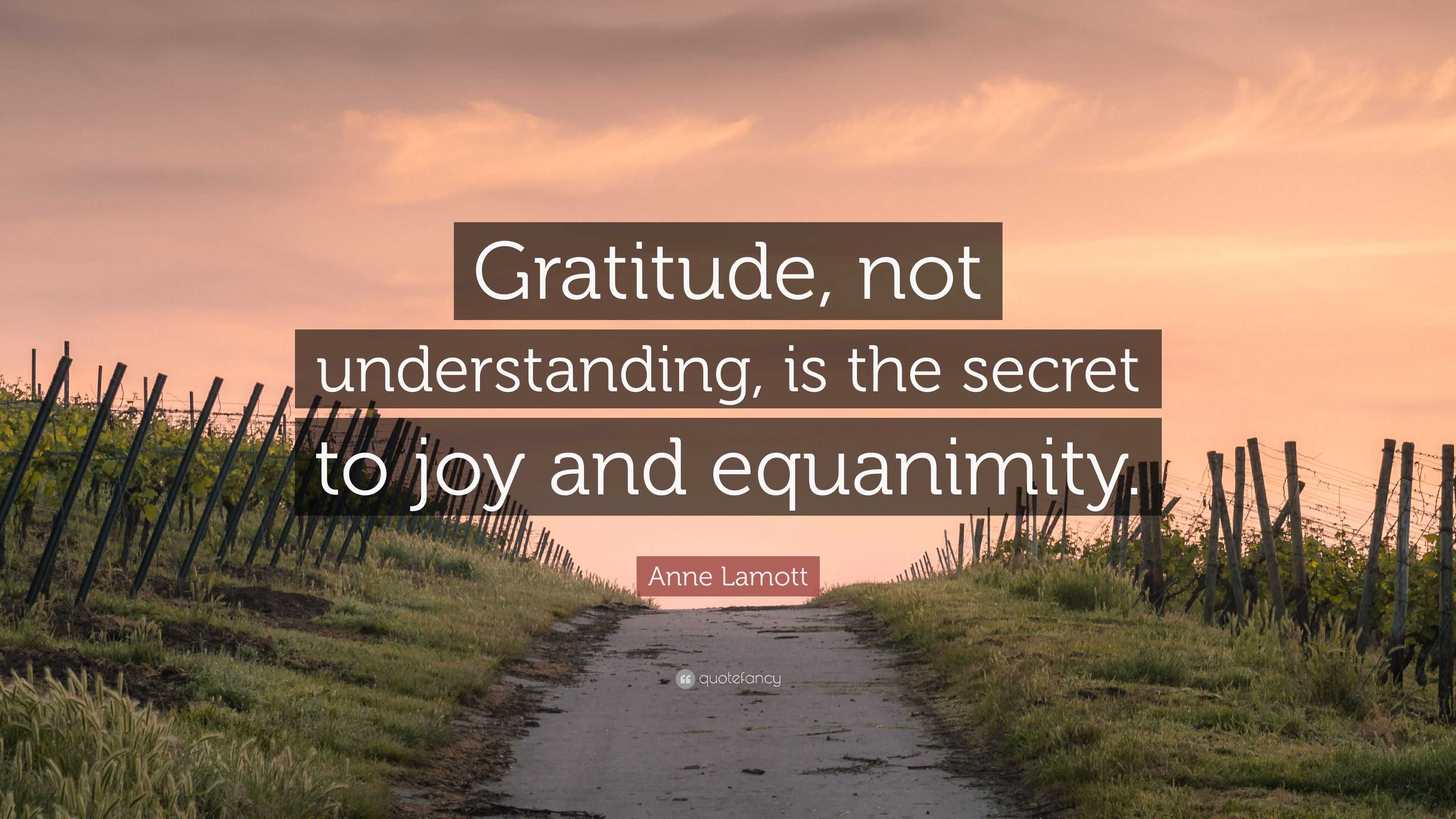 Anne Lamott Quote: “Gratitude, not understanding, is the secret to joy ...