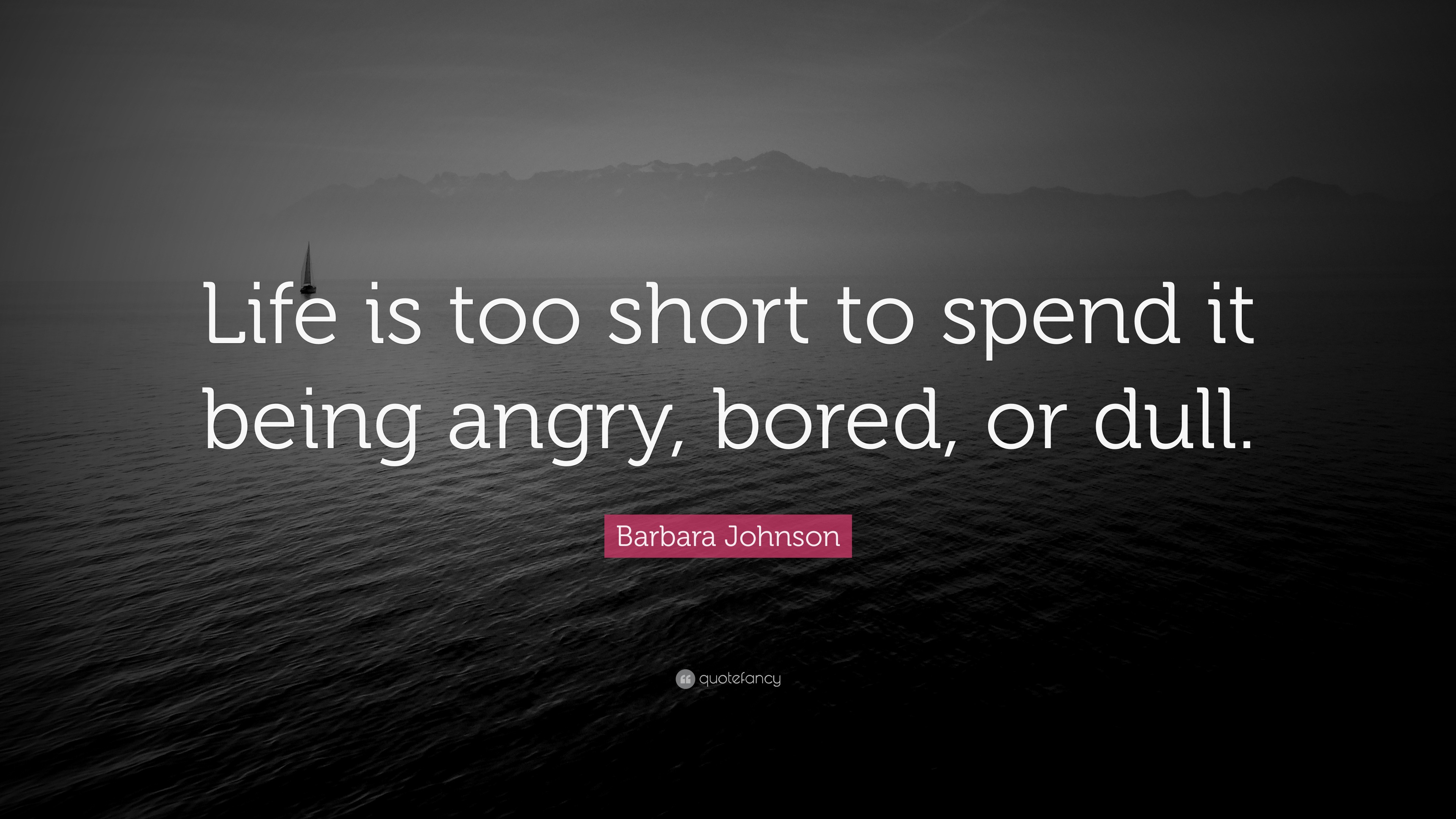 Barbara Johnson Quote “Life is too short to spend it being angry bored