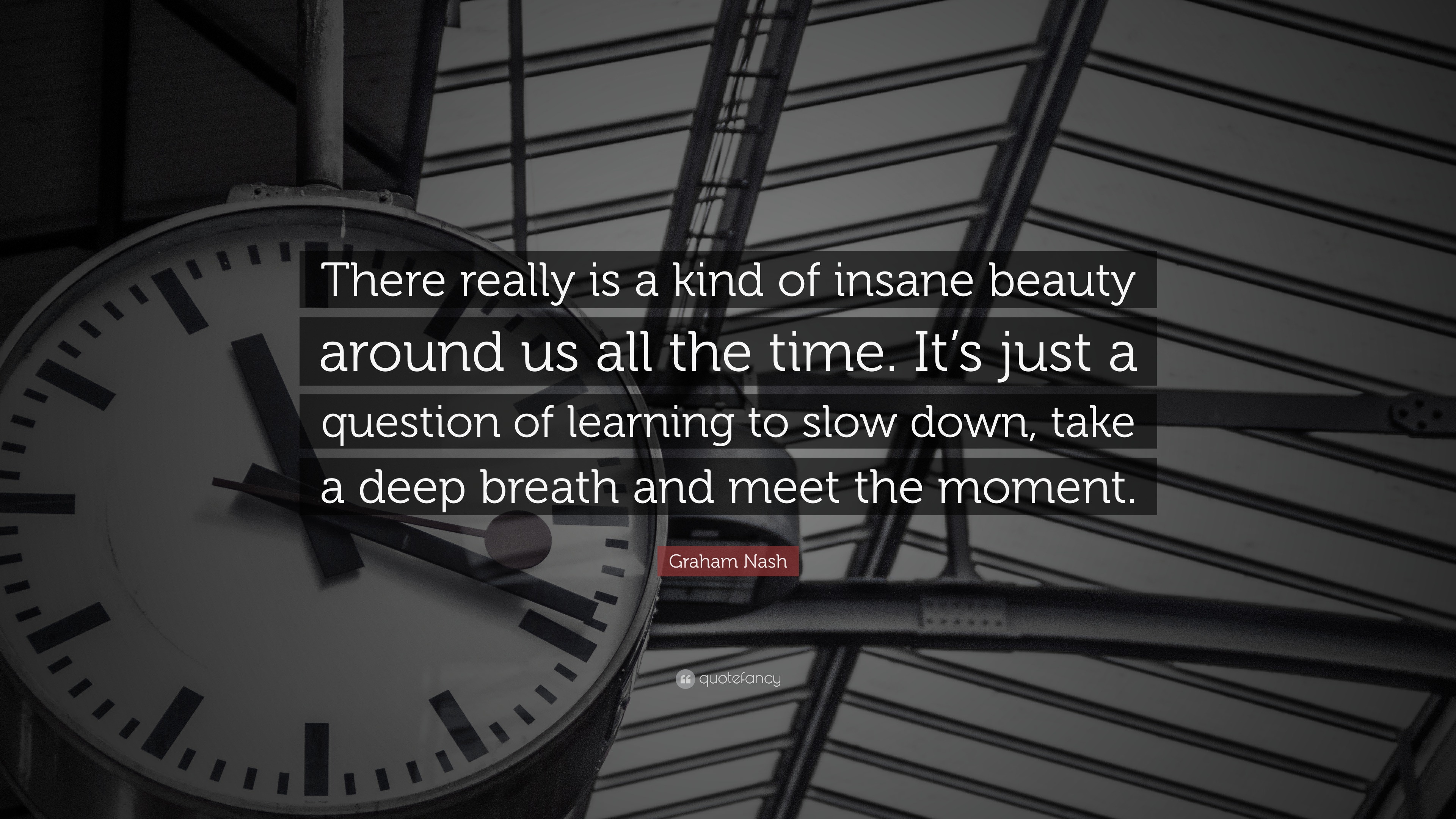 Graham Nash Quote There Really Is A Kind Of Insane Beauty Around Us All The Time It S Just A Question Of Learning To Slow Down Take A De